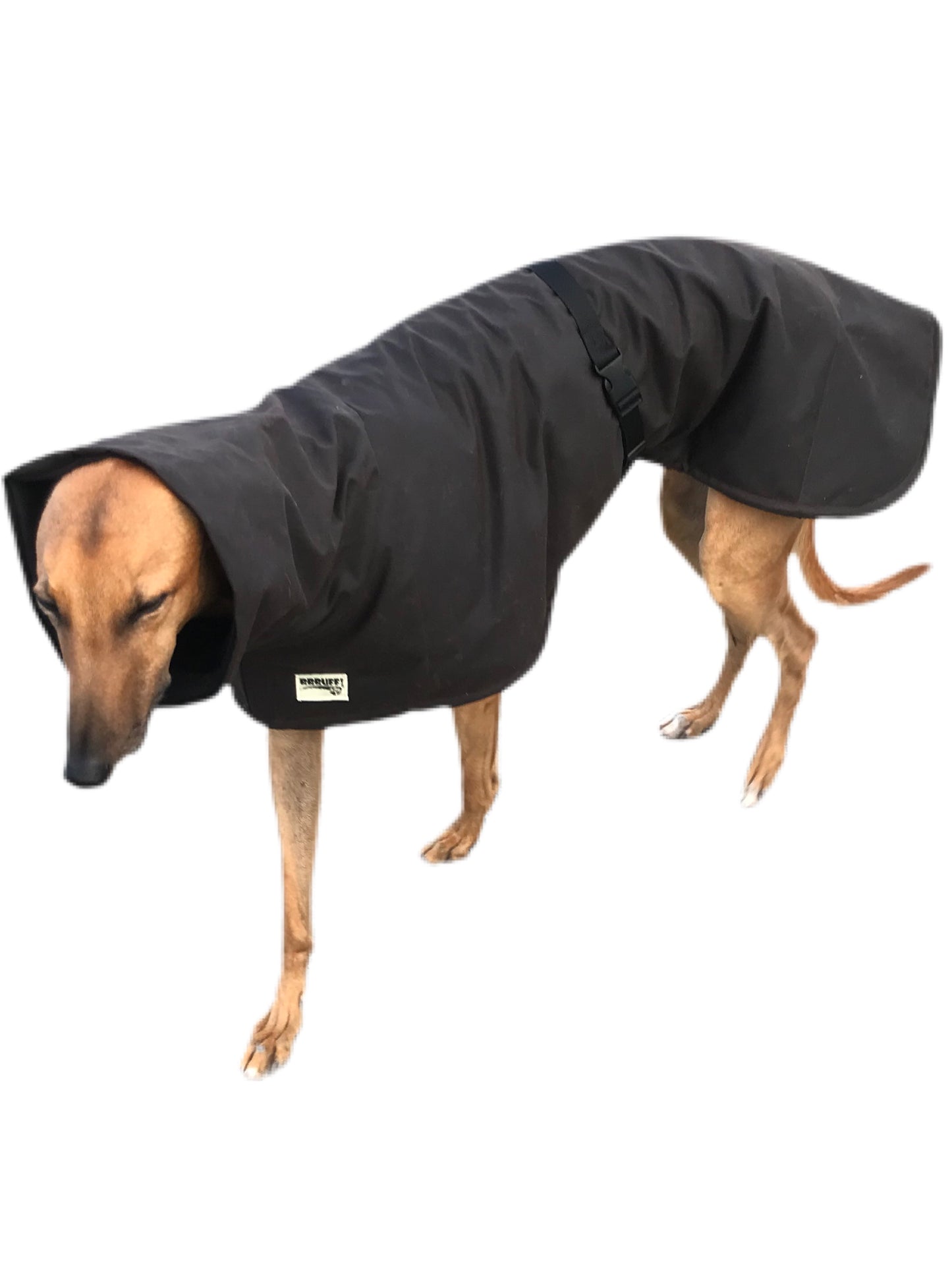 Oilskin ‘Greyzabone, Greyhound coat deluxe style, soft, water repellent, rain