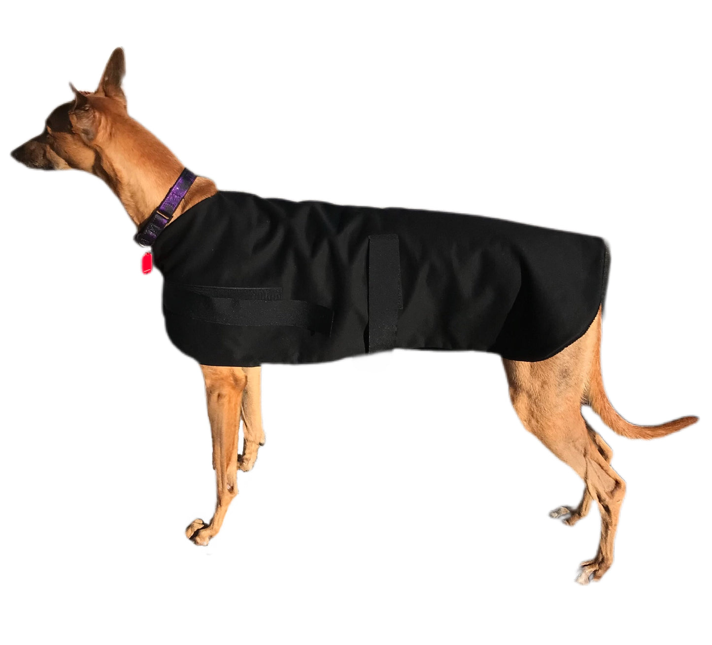 Spring wear classic style Greyhound ‘basic black’ coat in cotton & thick fleece washable