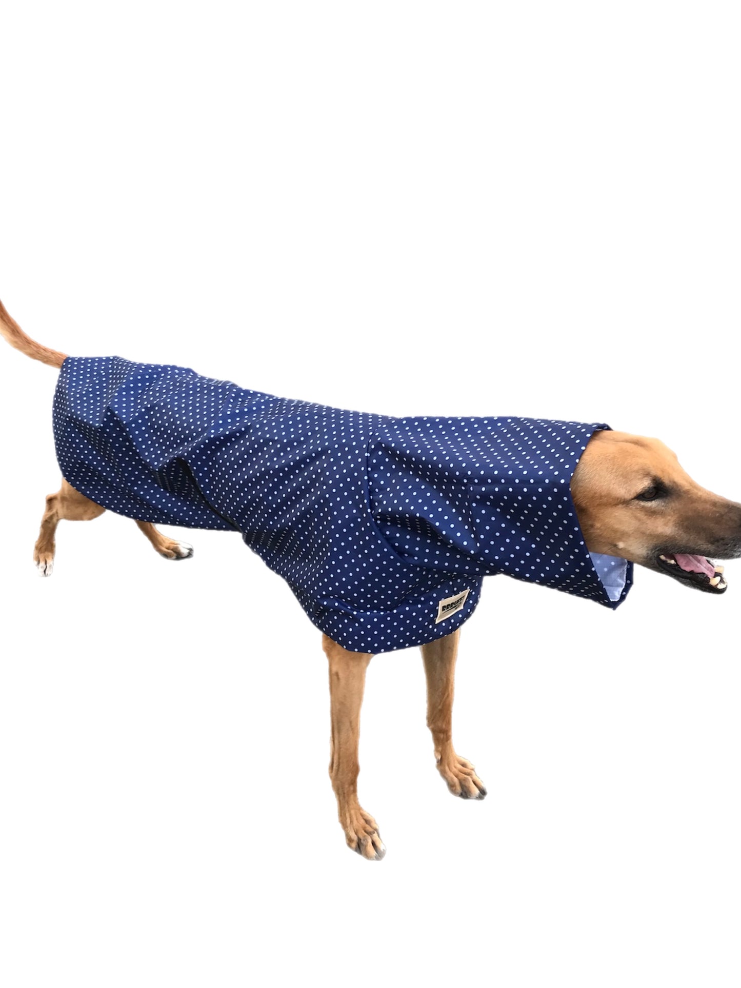 Navy blue dotty prints Greyhound coat deluxe style, summer rainwear, washable