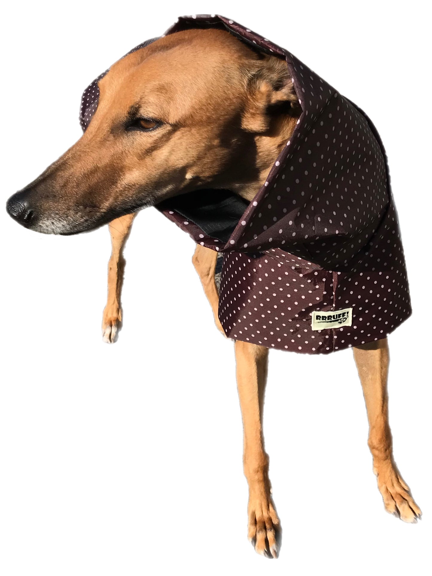 Latte dotty prints Greyhound coat deluxe style, summer rainwear, washable