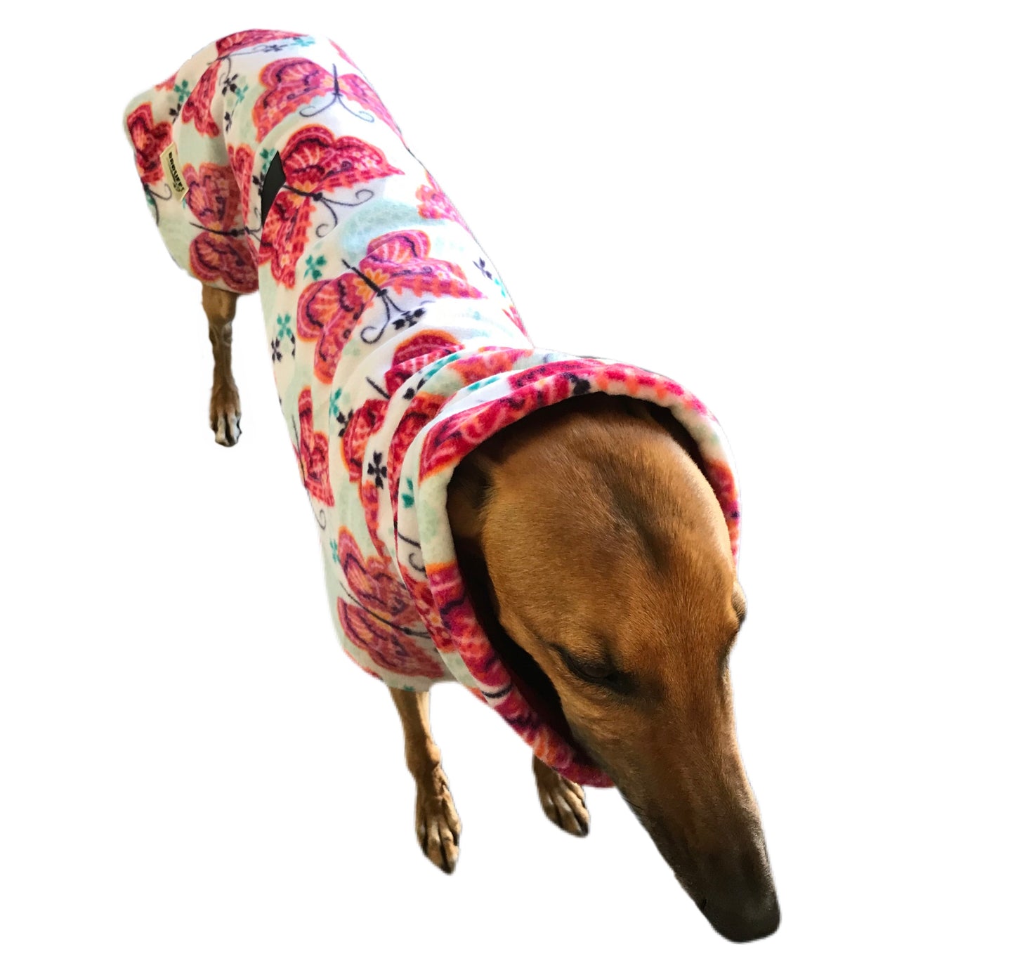 Butterfly prints greyhound Deluxe style coat rug super soft & snuggly polar fleece extra wide neck hoodie end of line