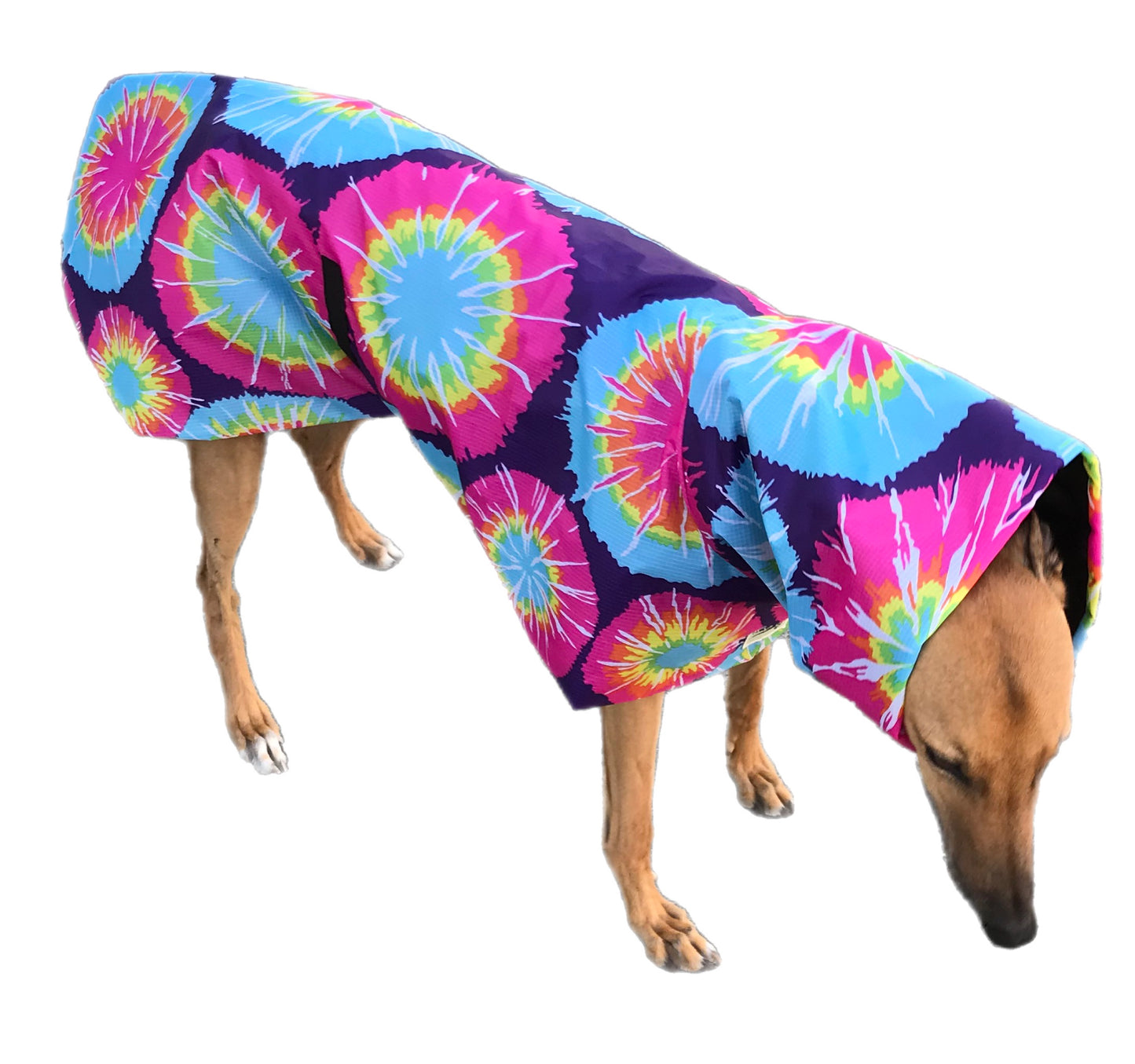 Retro colors Greyhound coat deluxe style, summer rainwear, hippy prints washable
