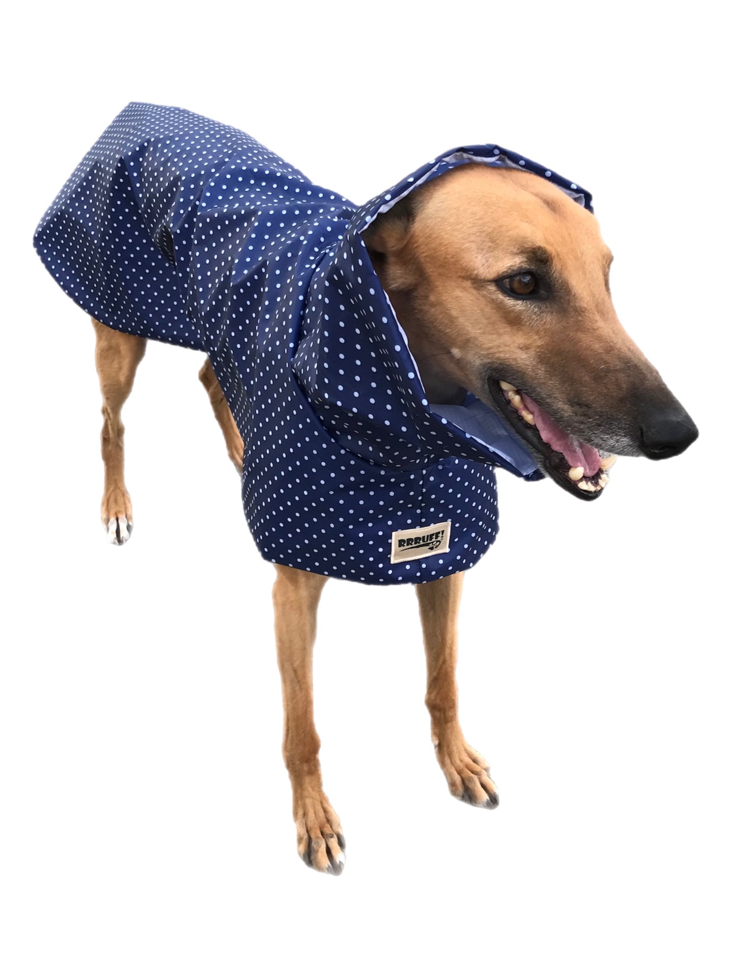 Navy blue dotty prints Greyhound coat deluxe style, summer rainwear, washable