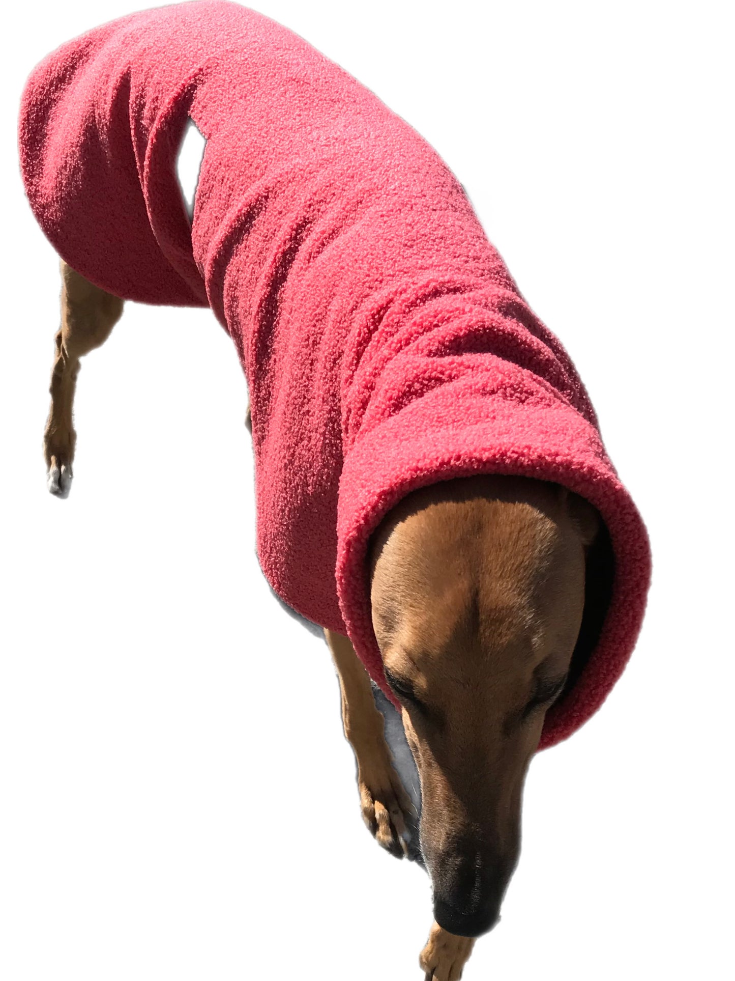 Teddy fleece extra thick deluxe style greyhound coat with snuggly wide neck roll