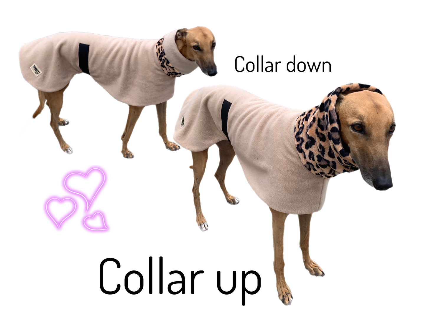 Beige Greyhound Deluxe Dog coat dog rug, thick double polar fleece black washable extra wide hoodie
