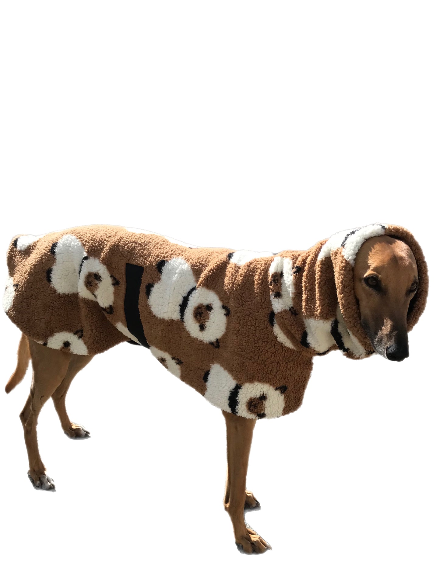 Extra thick Sherpa deluxe style greyhound coat with snuggly wide neck roll