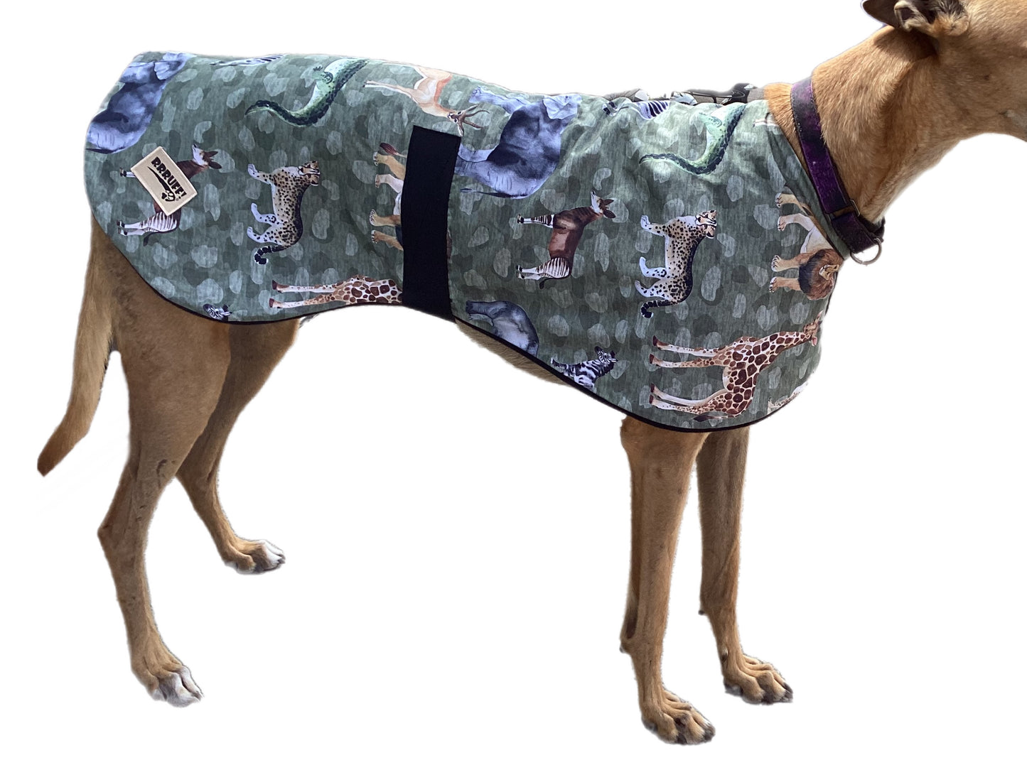 Summer nights classic style Greyhound coat in a super light cotton & fleece washable