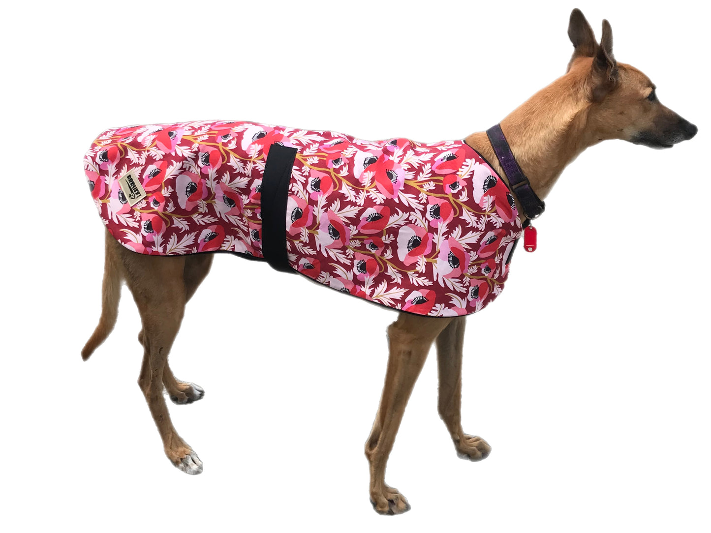 Summer range classic style Greyhound ‘red poppy‘design in cotton & thin fleece washable