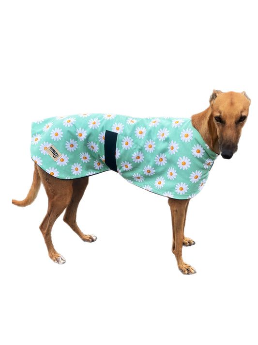 Fresh Autumn Greyhound  ‘sage daisy’ coat in cotton & thick fleece washable