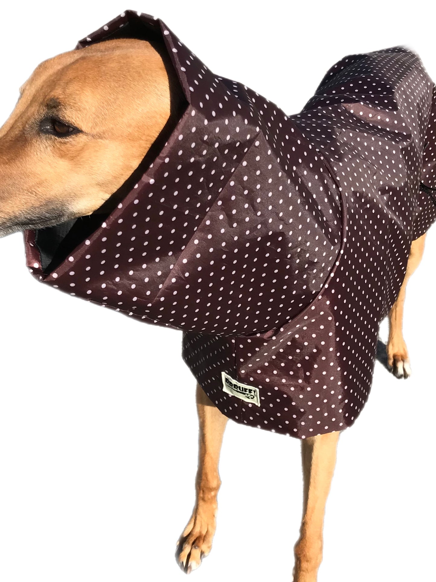 Latte dotty prints Greyhound coat deluxe style, summer rainwear, washable