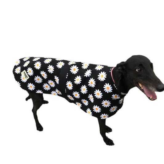 Autumn range greyhound classic style Greyhound ‘crazy daisy’ coat in cotton & thick fleece washable