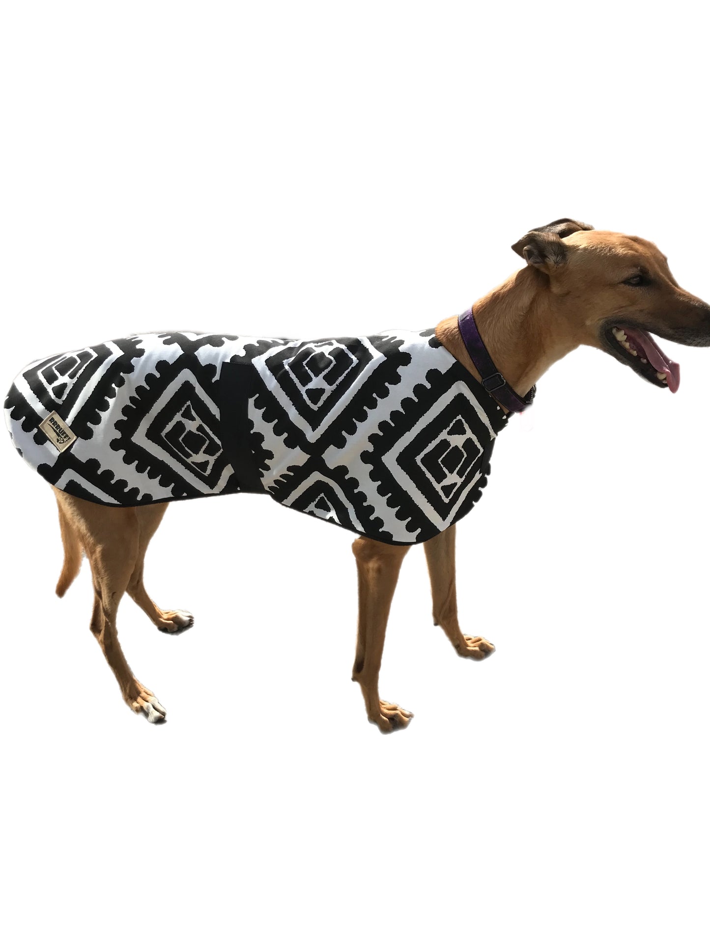 Black & white spring range classic style Greyhound coat in  cotton & fleece washable