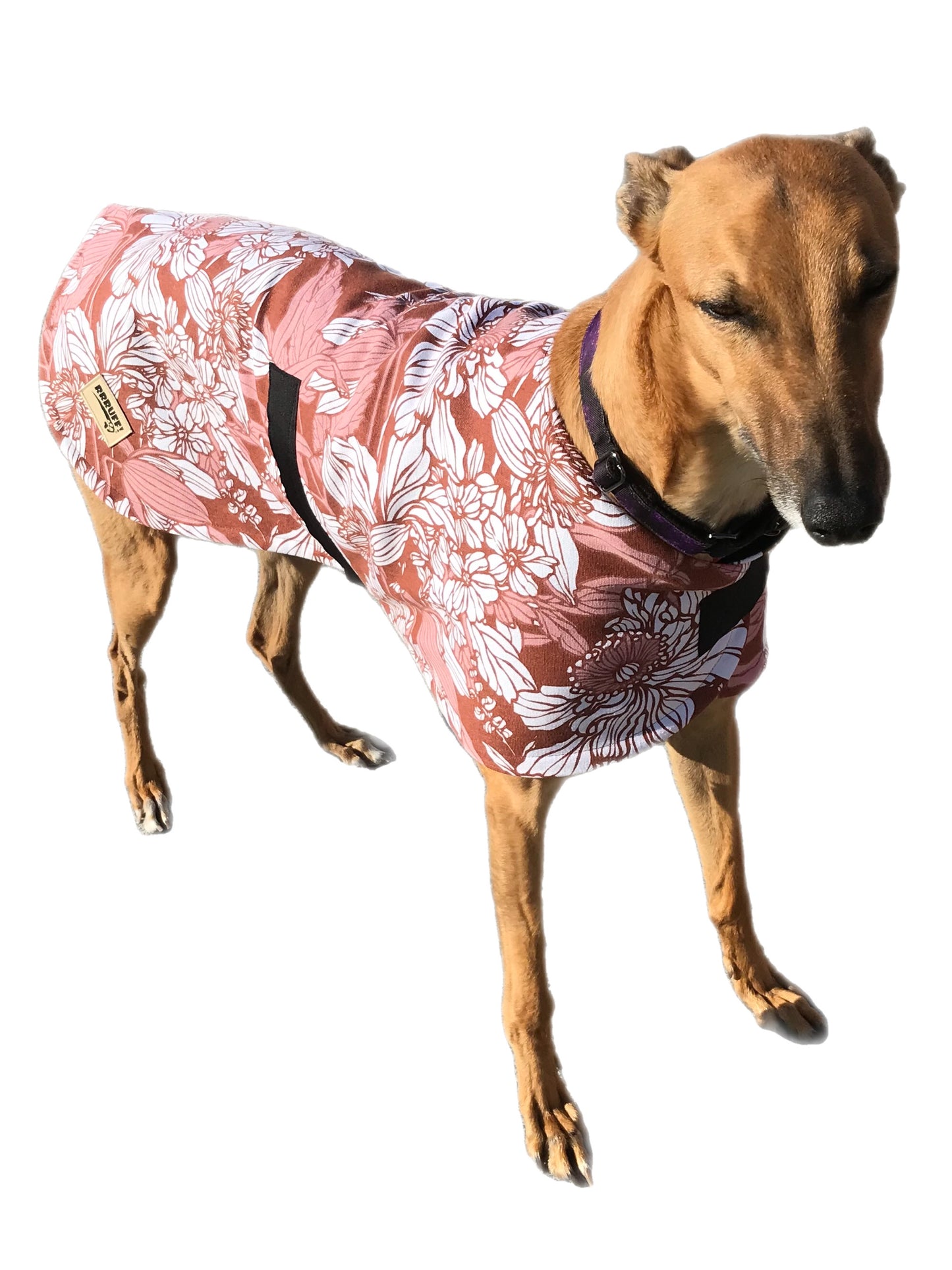 Spring range classic style Greyhound coat in thick cotton & fleece washable