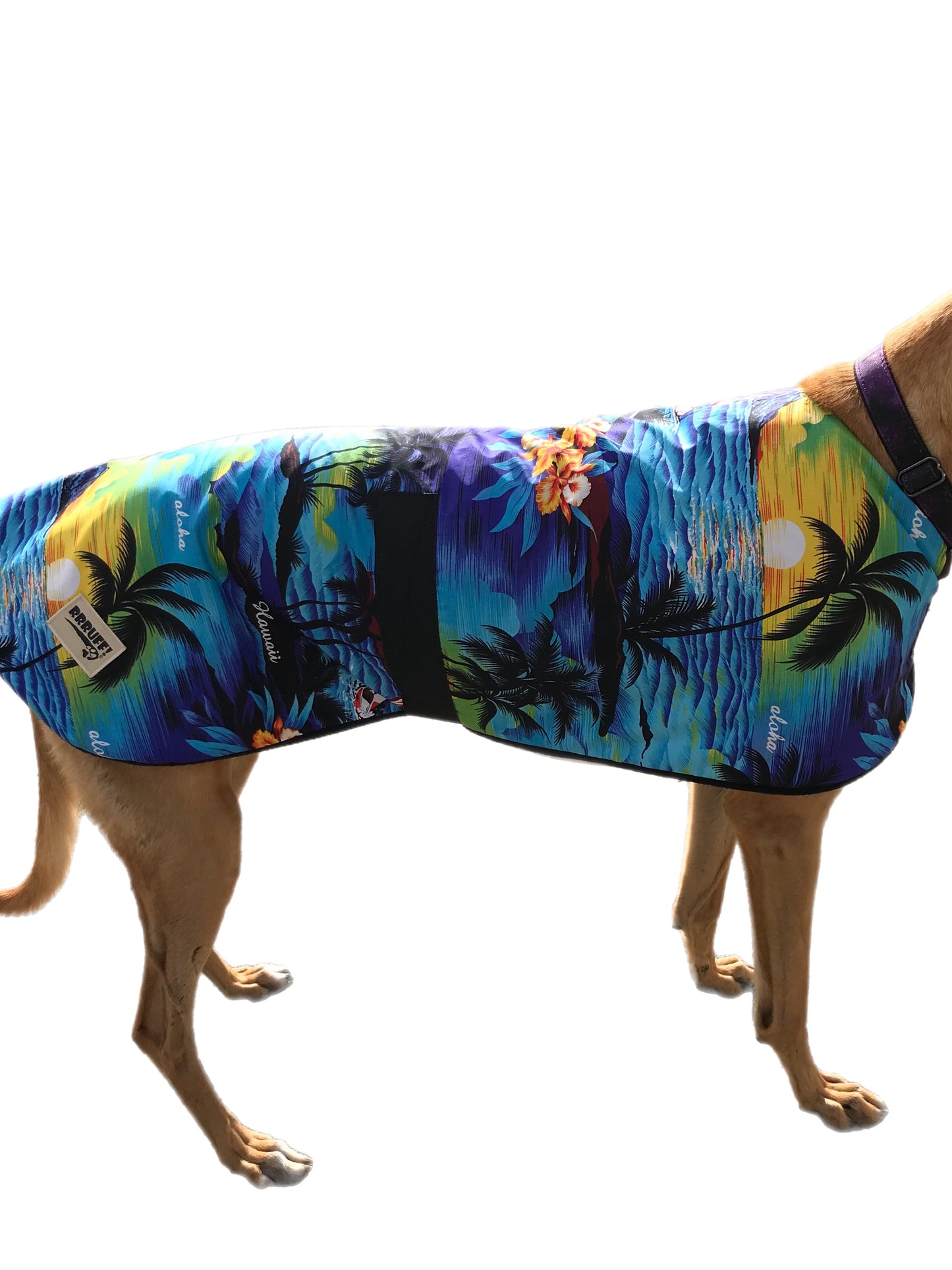 Aloha! Spring range classic style Greyhound coat in lightweight cotton & fleece washable