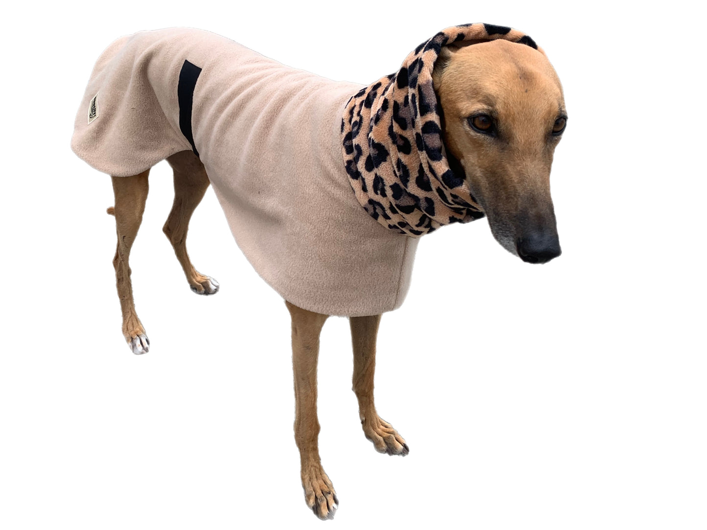 Beige Greyhound Deluxe Dog coat dog rug, thick double polar fleece washable extra wide hoodie