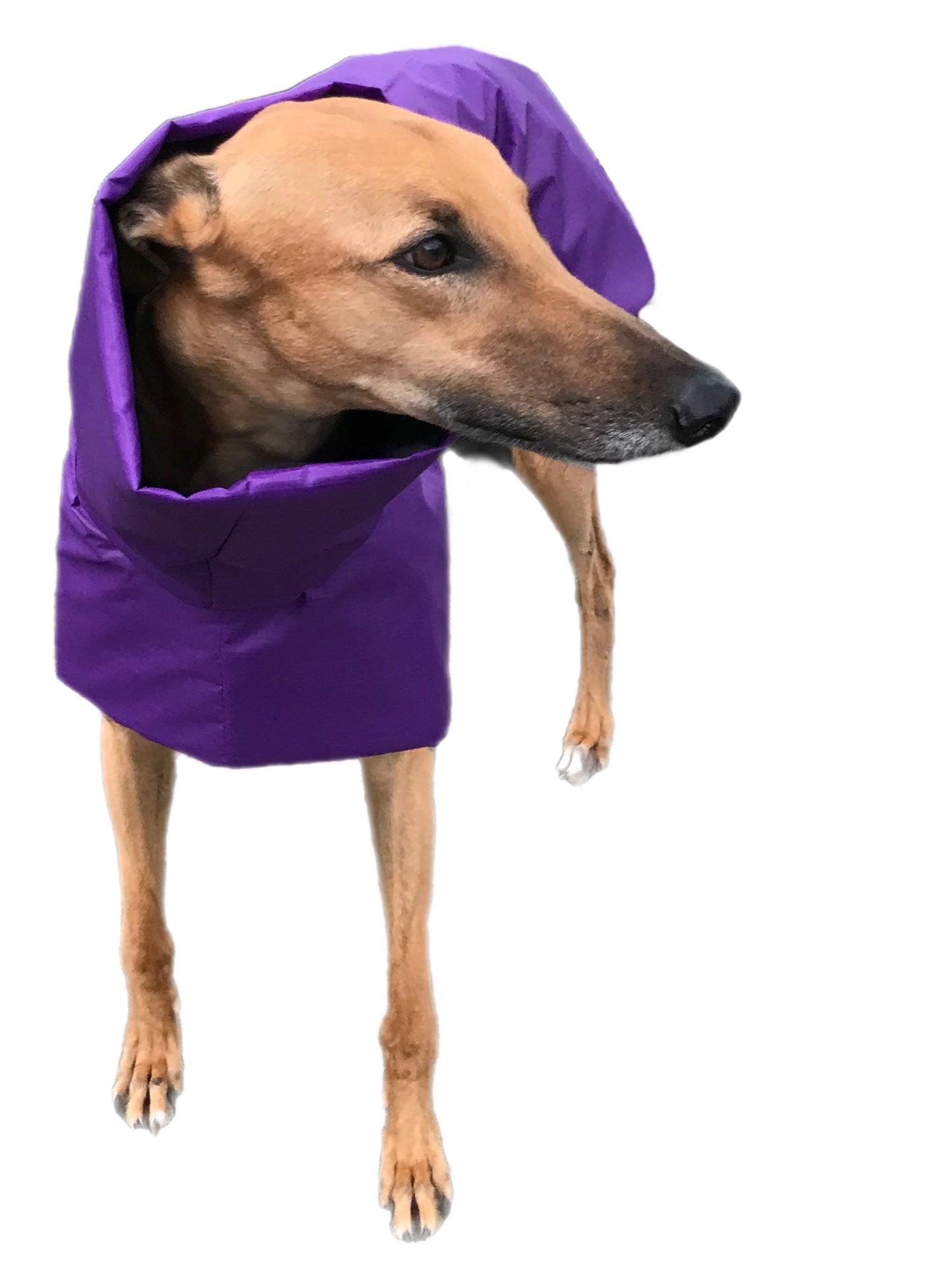 Purple super soft Greyhound coat deluxe style, summer rainwear, washable