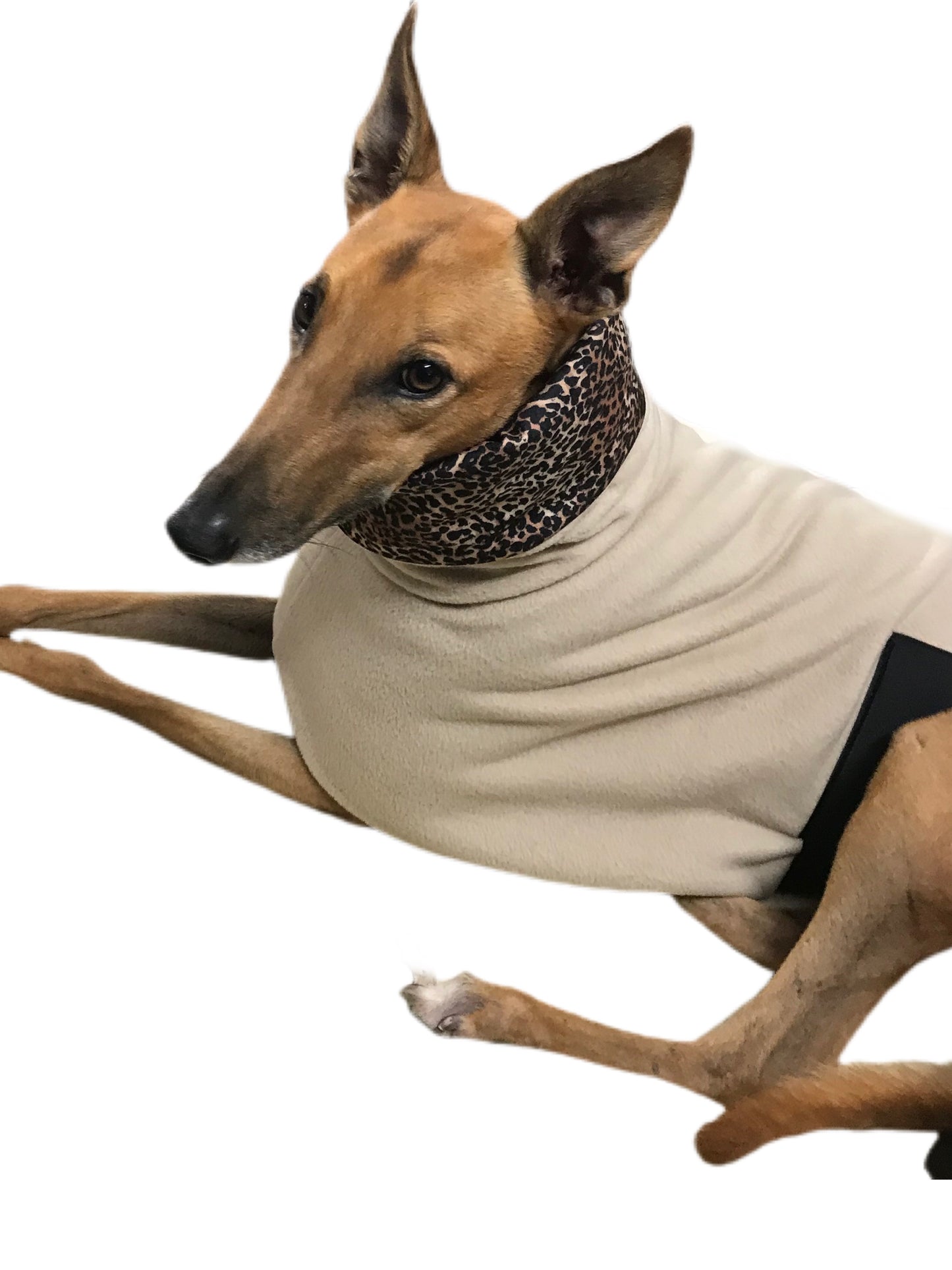 Simply beige Greyhound Deluxe coat rug thick polar fleece washable extra wide neck hoodie