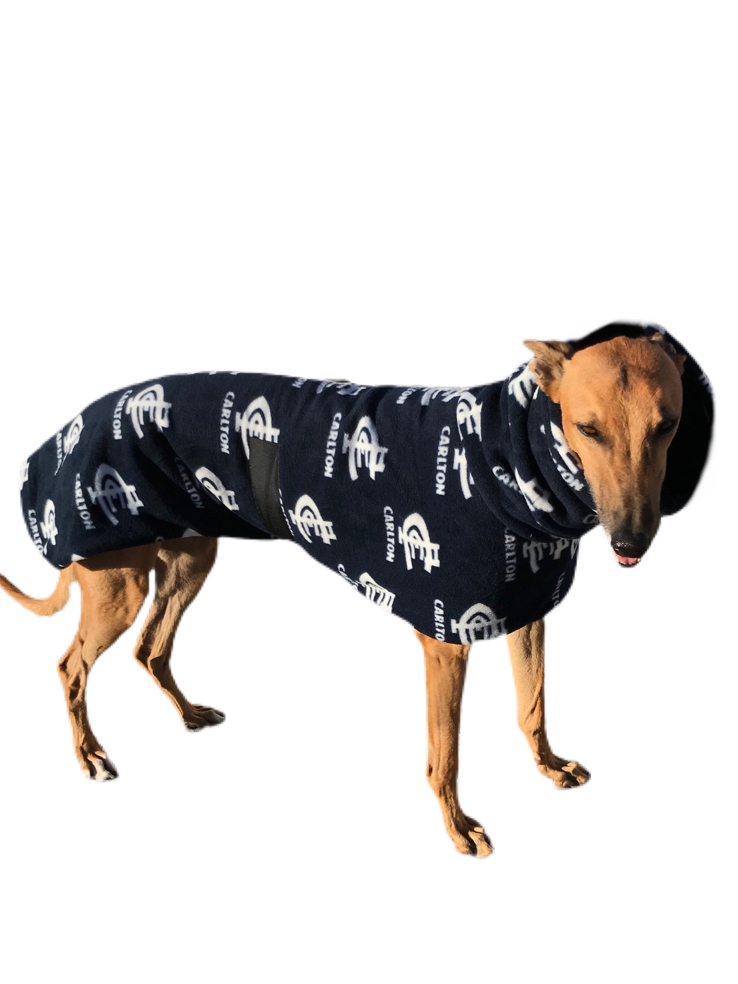 AFL Carlton inspired greyhound coat deluxe style double polar fleece washable