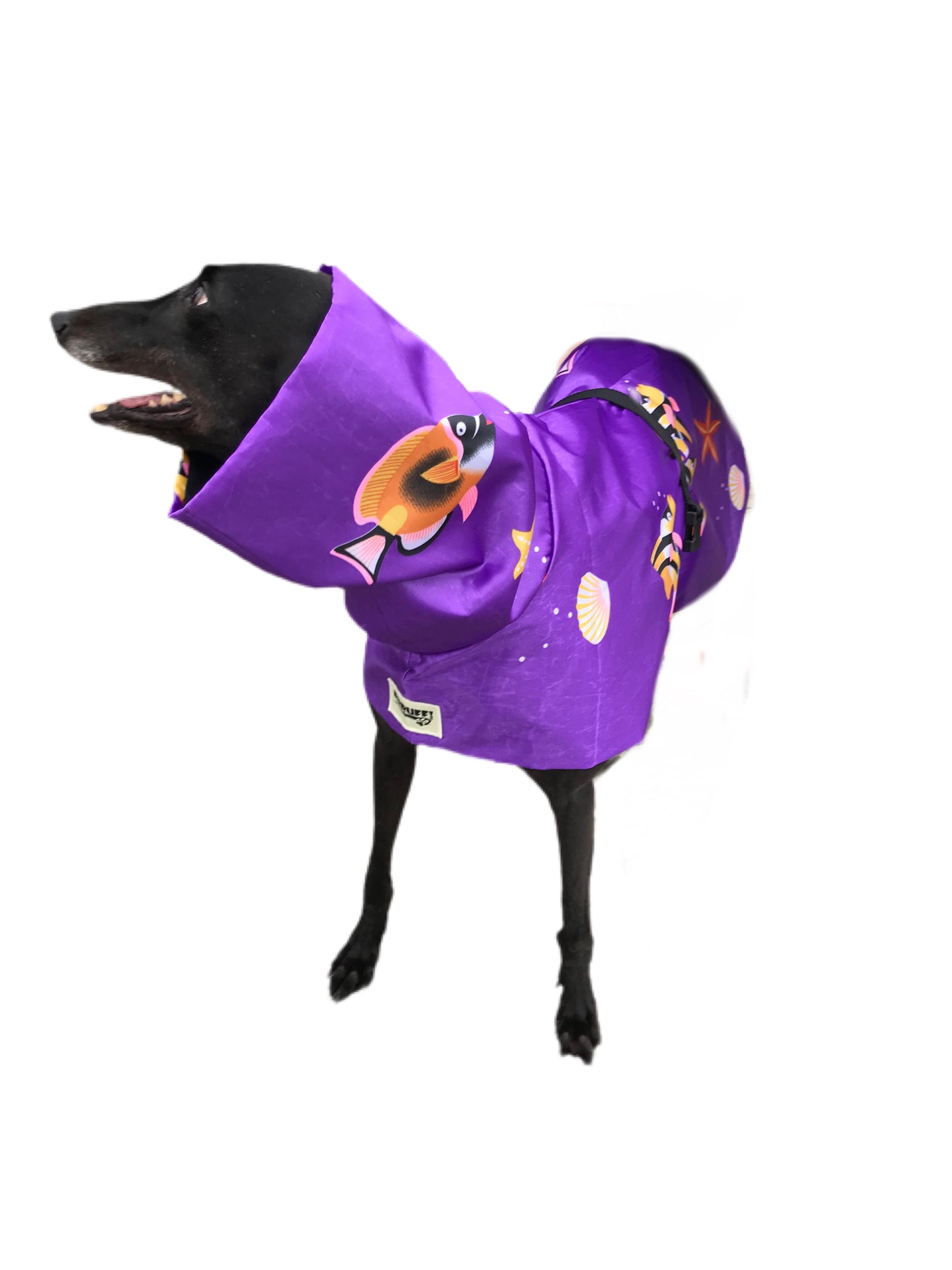 Purple print Greyhound coat deluxe style, summer rainwear, washable