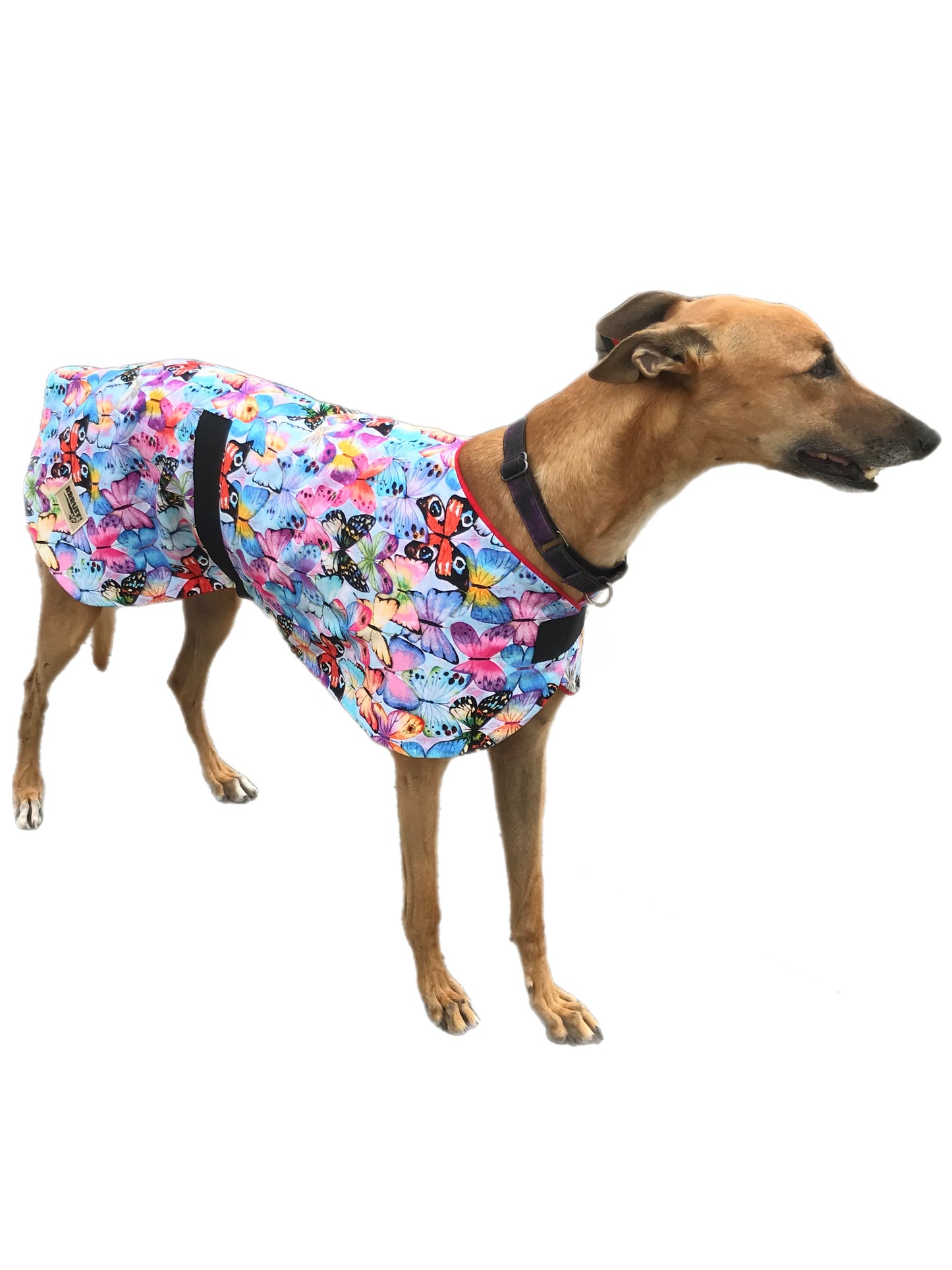 Summer/Autumn range classic style Greyhound ‘butterflies’ design in cotton & thin fleece washable