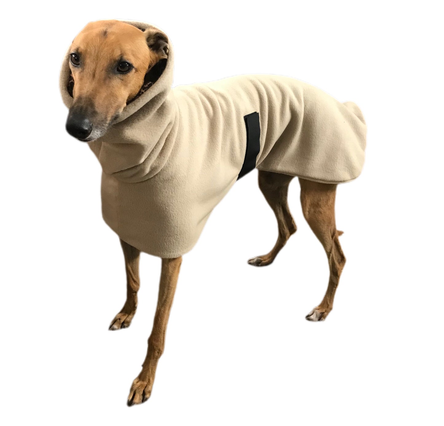 Simply beige Greyhound Deluxe coat rug thick polar fleece washable extra wide neck hoodie