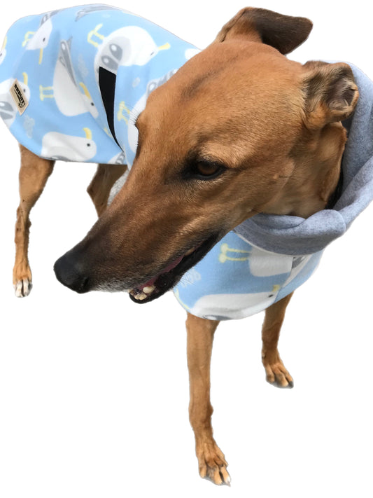 Autumn lightweight deluxe style greyhound coat with snuggly wide roll up or down neck roll