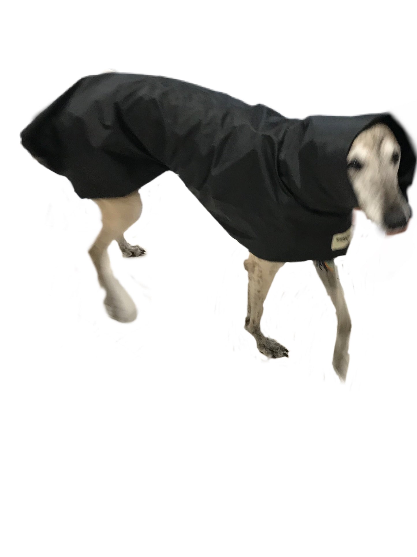Summer rainwear Greyhound coat deluxe style, ultra lightweight,  washable