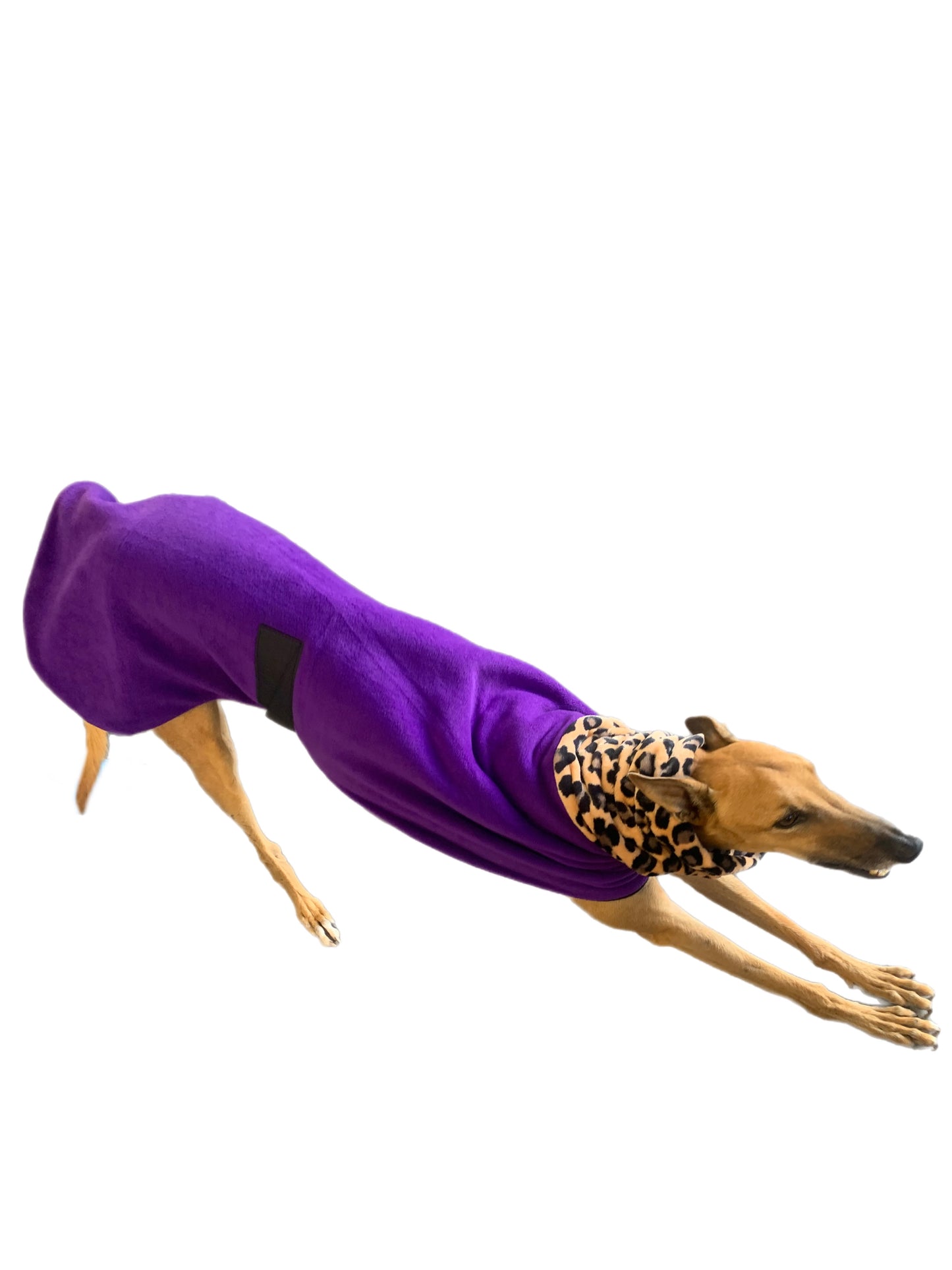 Royal purple Greyhound Deluxe Dog coat dog rug, thick double polar fleece black washable extra wide hoodie