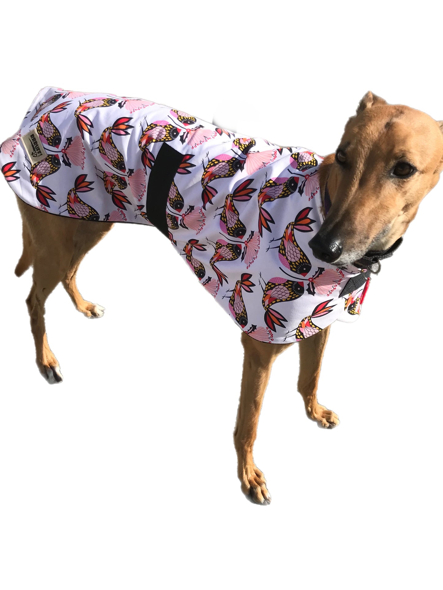 Spring range Greyhound coat in ‘birdy’ design cotton & fleece washable