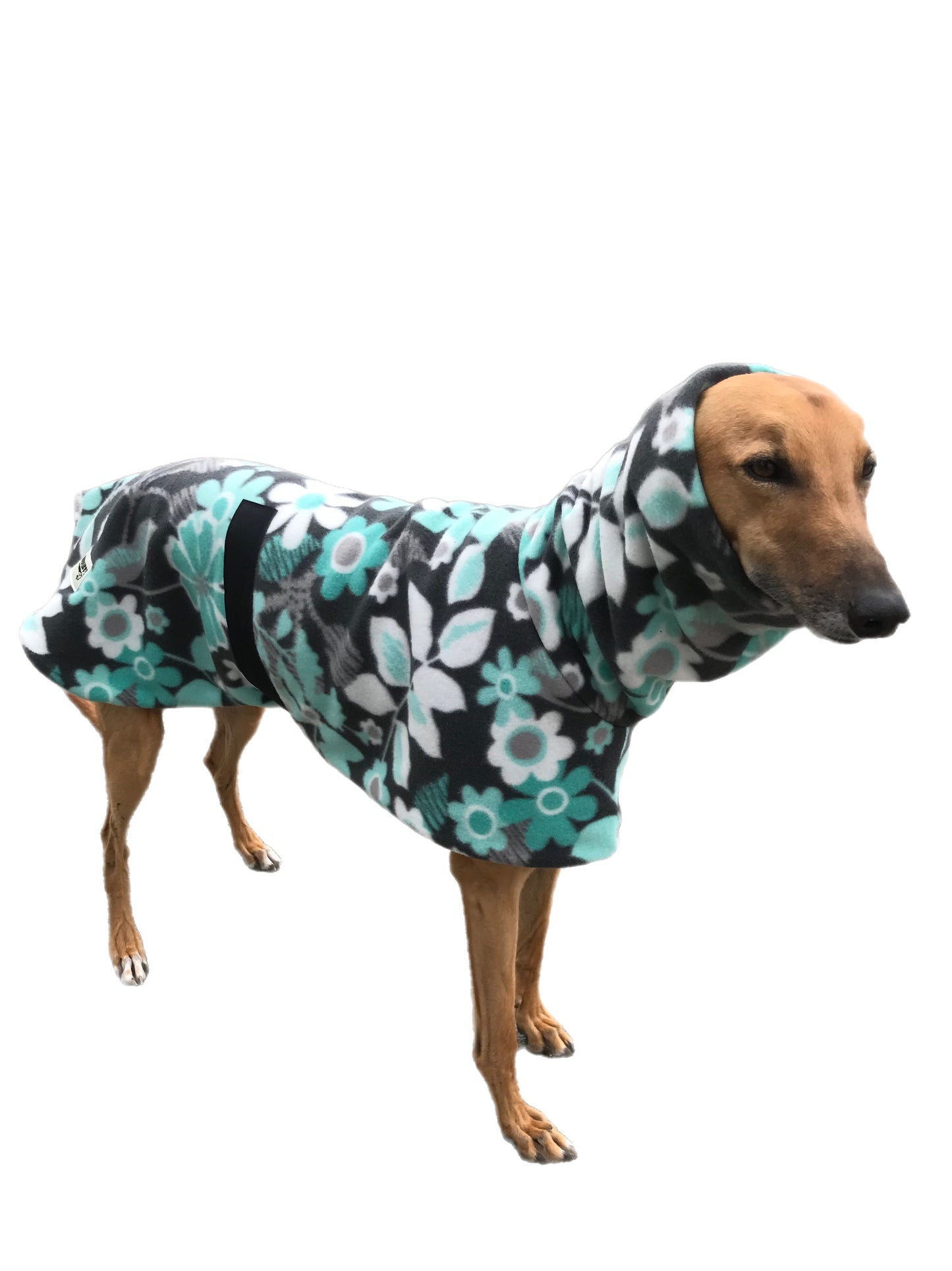 Mint & grey deluxe style greyhound coat with snuggly wide neck roll