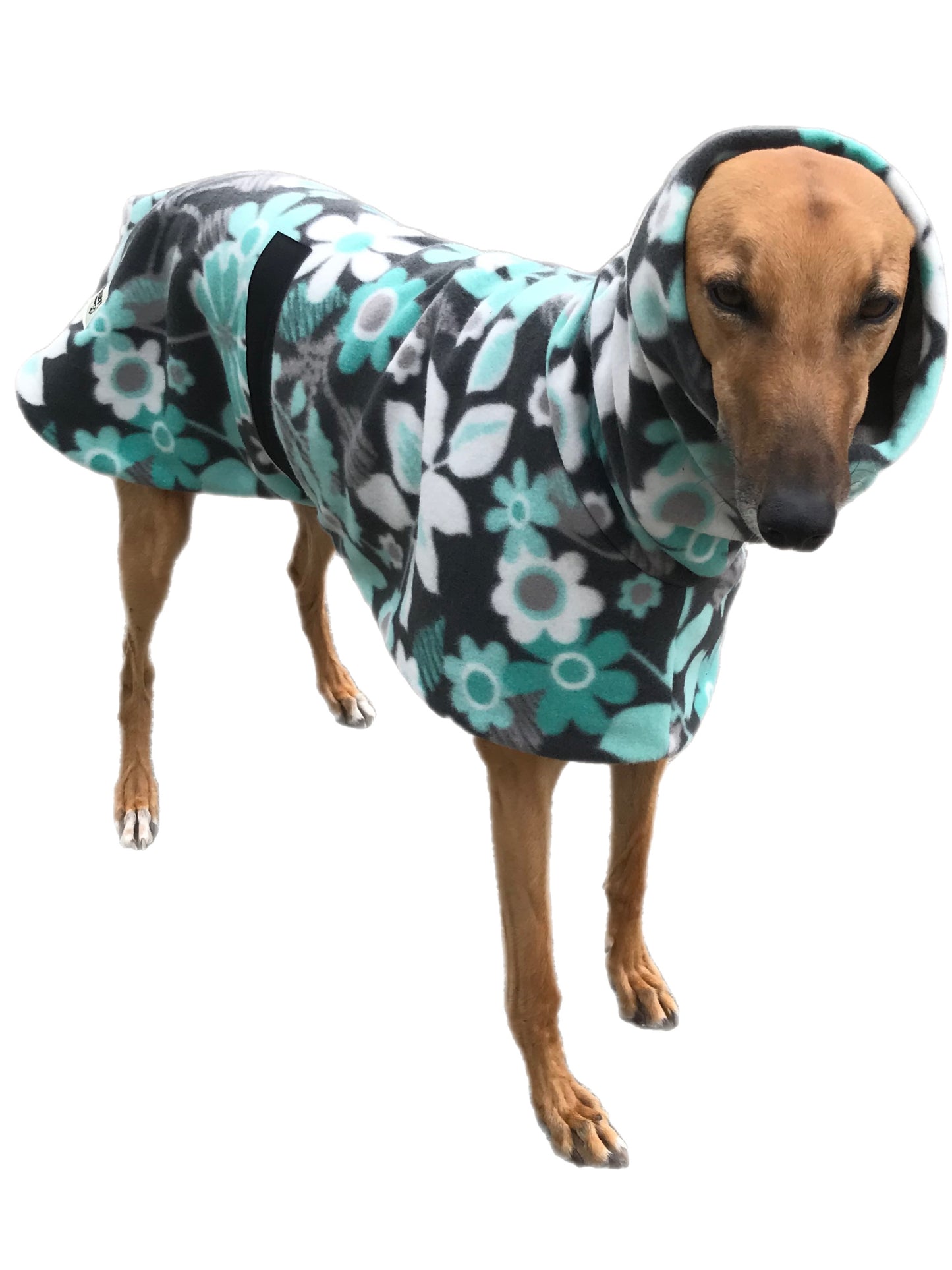 Mint & grey deluxe style greyhound coat with snuggly wide neck roll