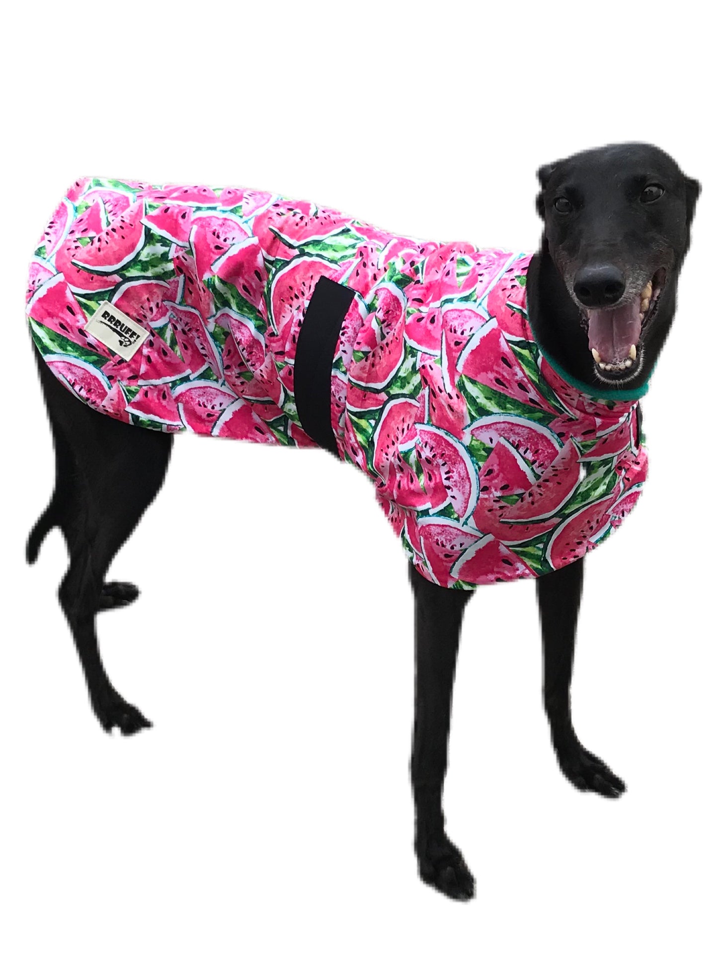 Spring/Autumn range classic style Greyhound ‘watermelon’ coat in cotton & fleece washable