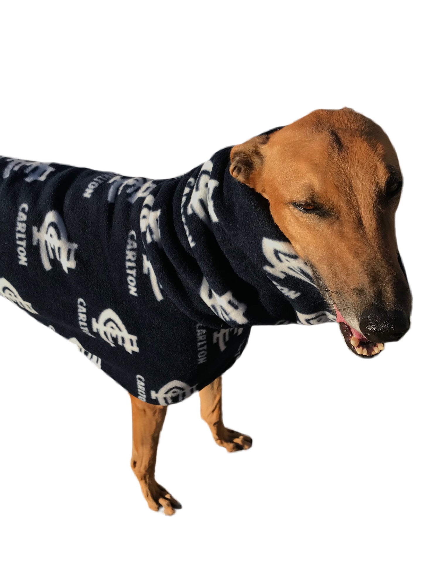 AFL Carlton inspired greyhound coat deluxe style double polar fleece washable