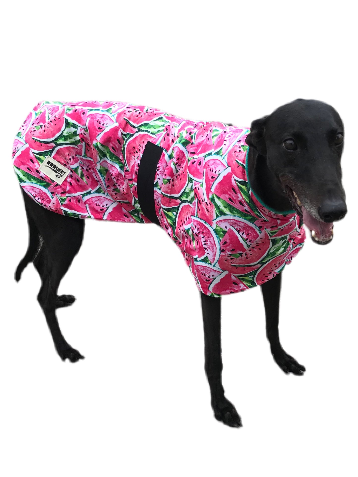 Spring/Autumn range classic style Greyhound ‘watermelon’ coat in cotton & fleece washable