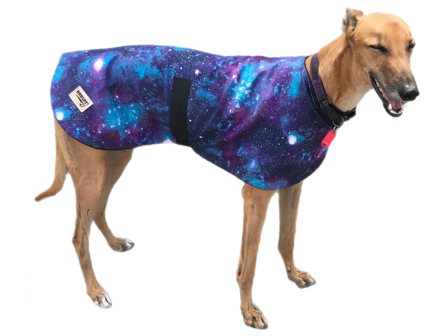 Summer range classic style Greyhound ‘galaxy print’ coat in cotton & thin fleece washable
