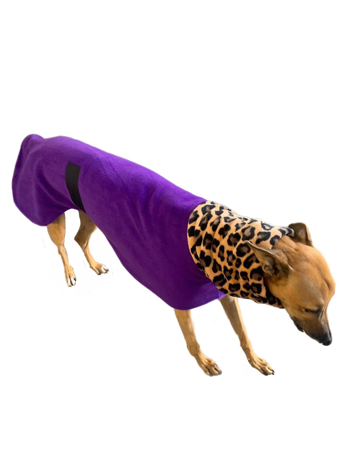 Royal purple Greyhound Deluxe Dog coat dog rug, thick double polar fleece black washable extra wide hoodie