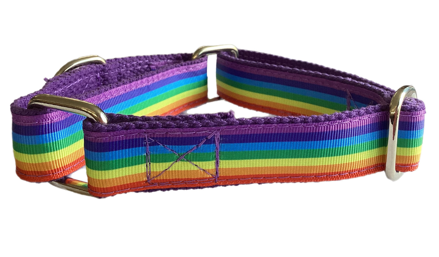 Rainbow colors 🏳️‍🌈 greyhound Martingale collar 25mm house collar