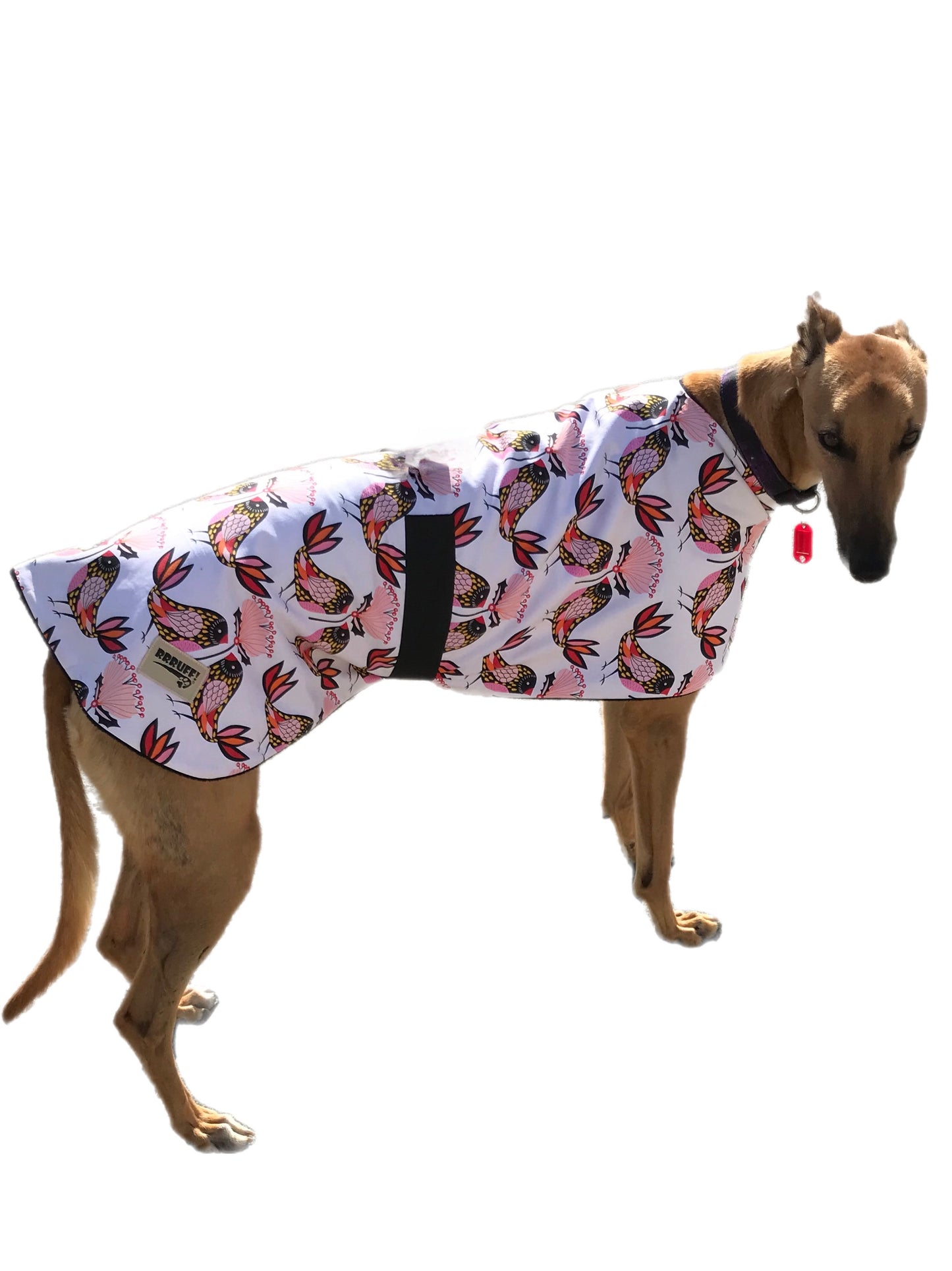 Spring range Greyhound coat in ‘birdy’ design cotton & fleece washable