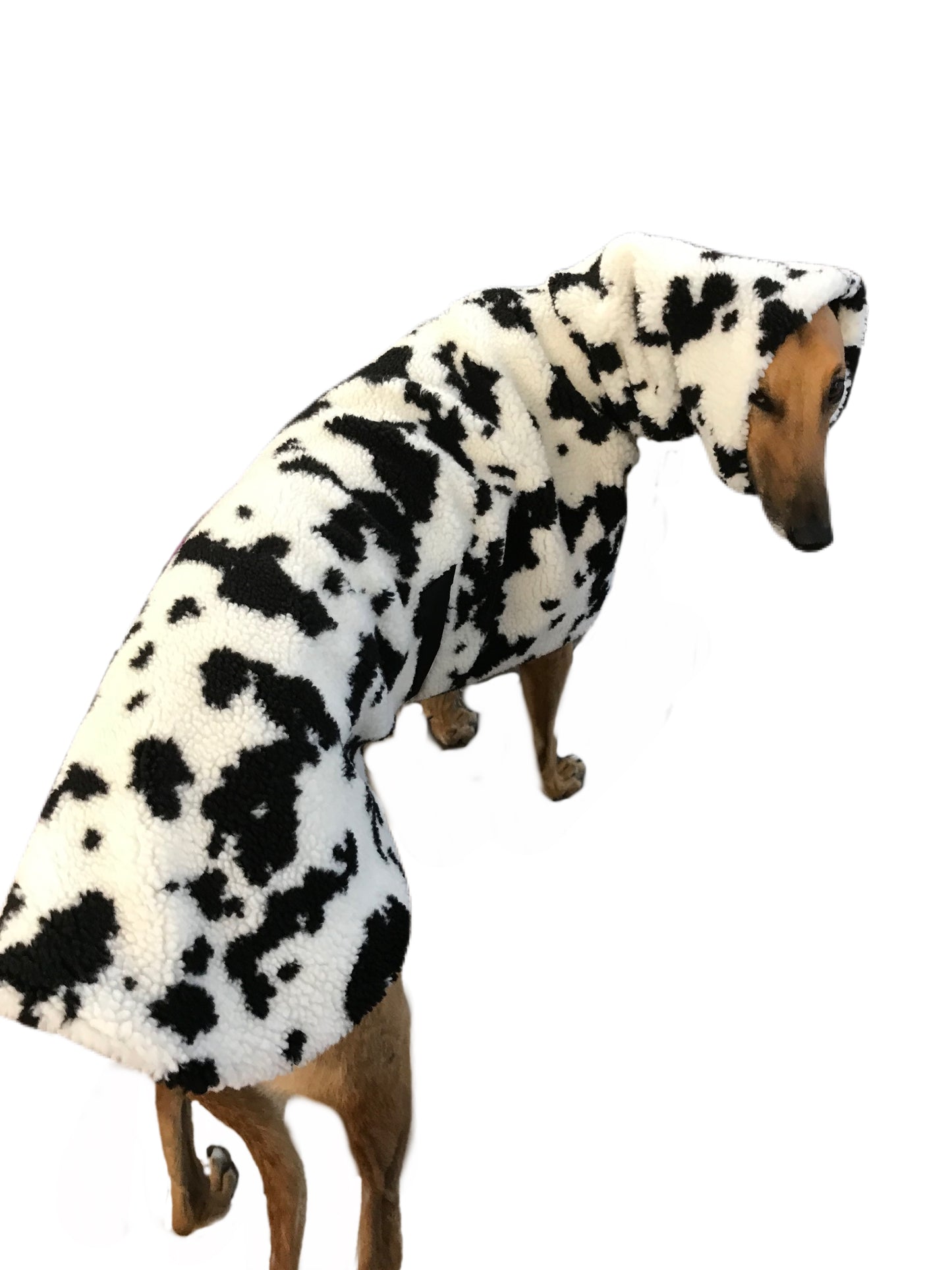 Extra thick Cow print Sherpa deluxe style greyhound coat with snuggly wide neck roll