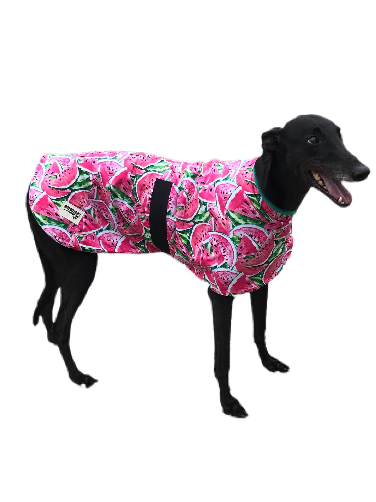 Spring/Autumn range classic style Greyhound ‘watermelon’ coat in cotton & fleece washable