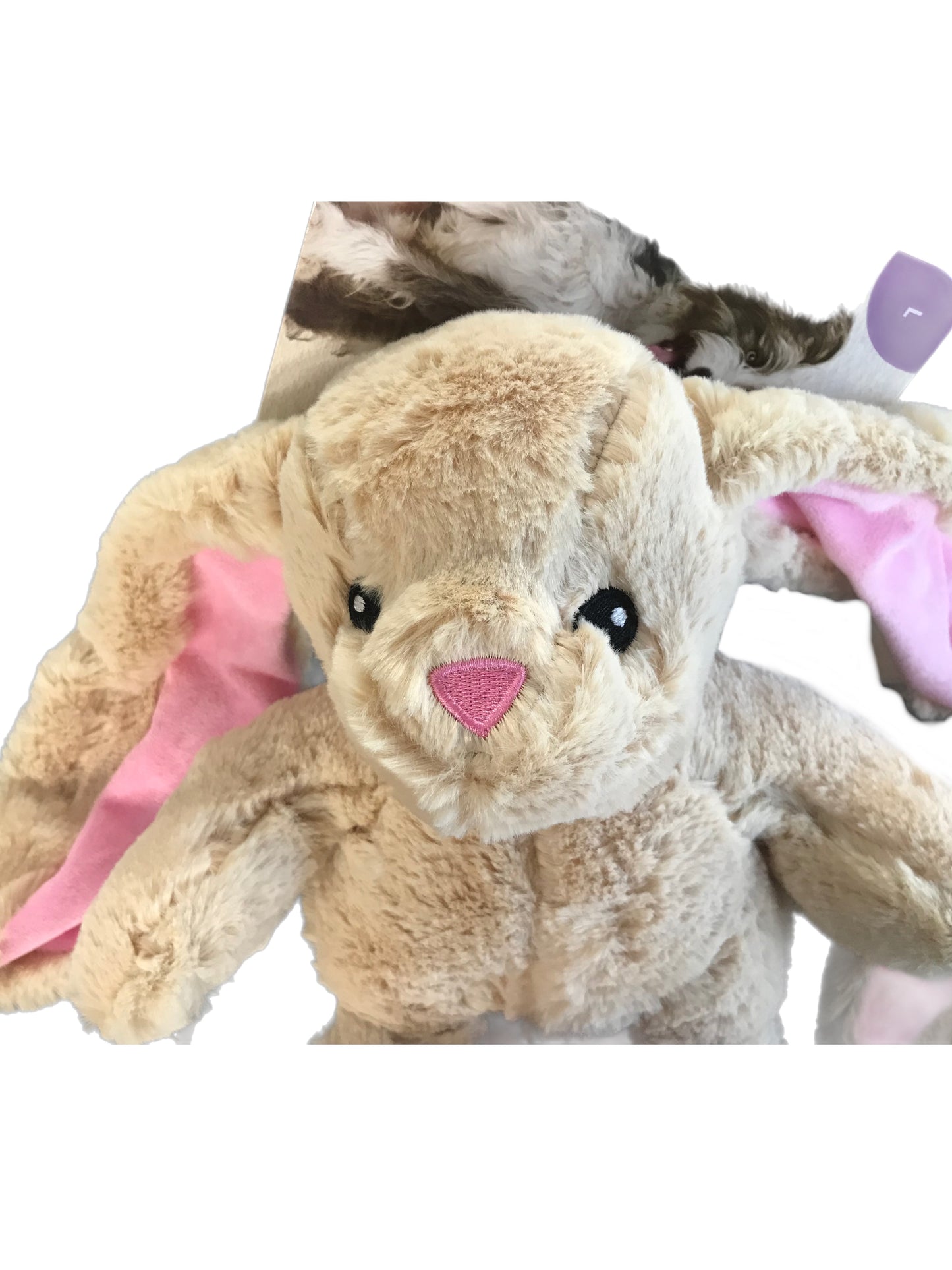 Long eared floppy rabbit plush toy with squeaker