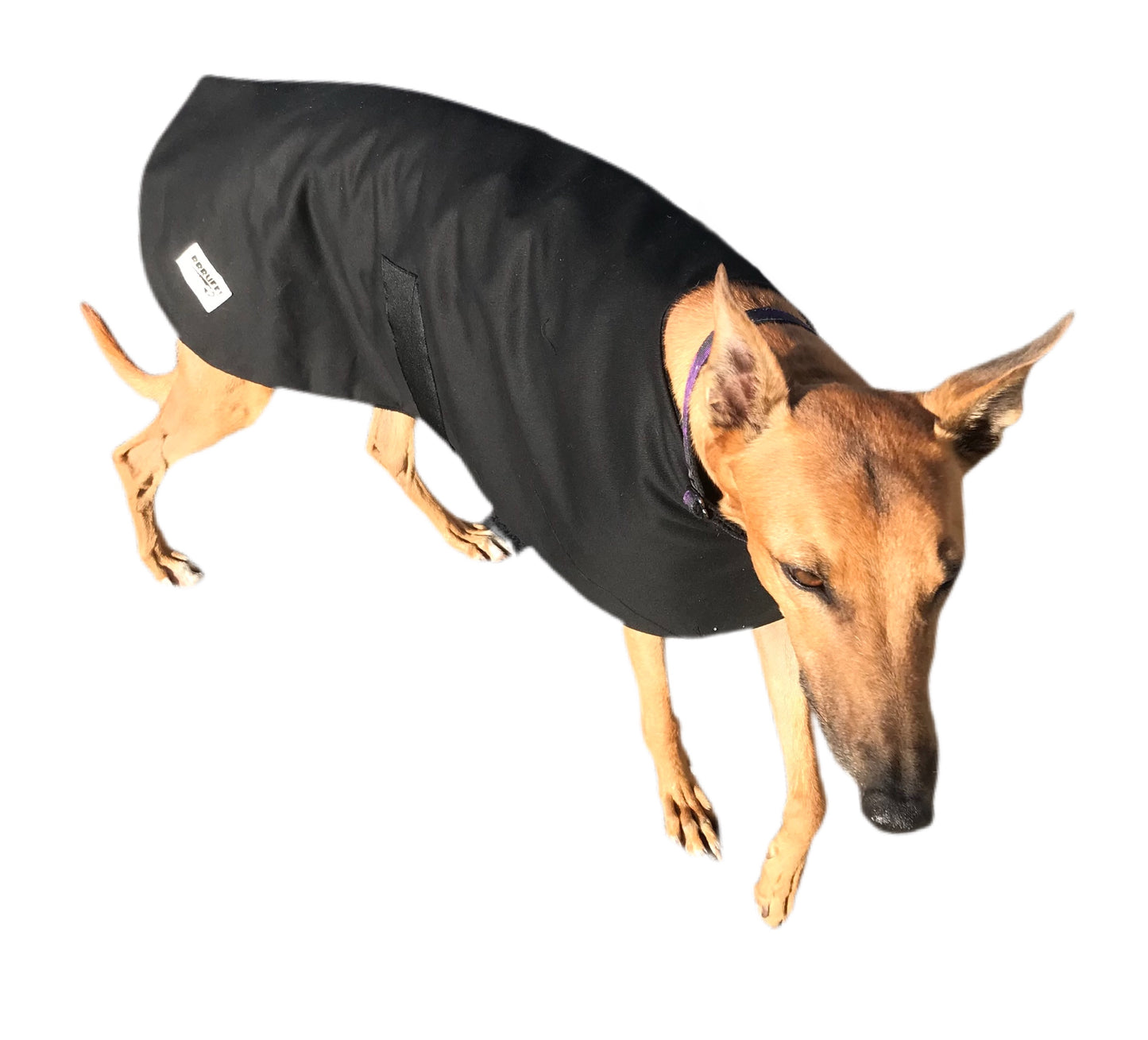 Spring wear classic style Greyhound ‘basic black’ coat in cotton & thick fleece washable