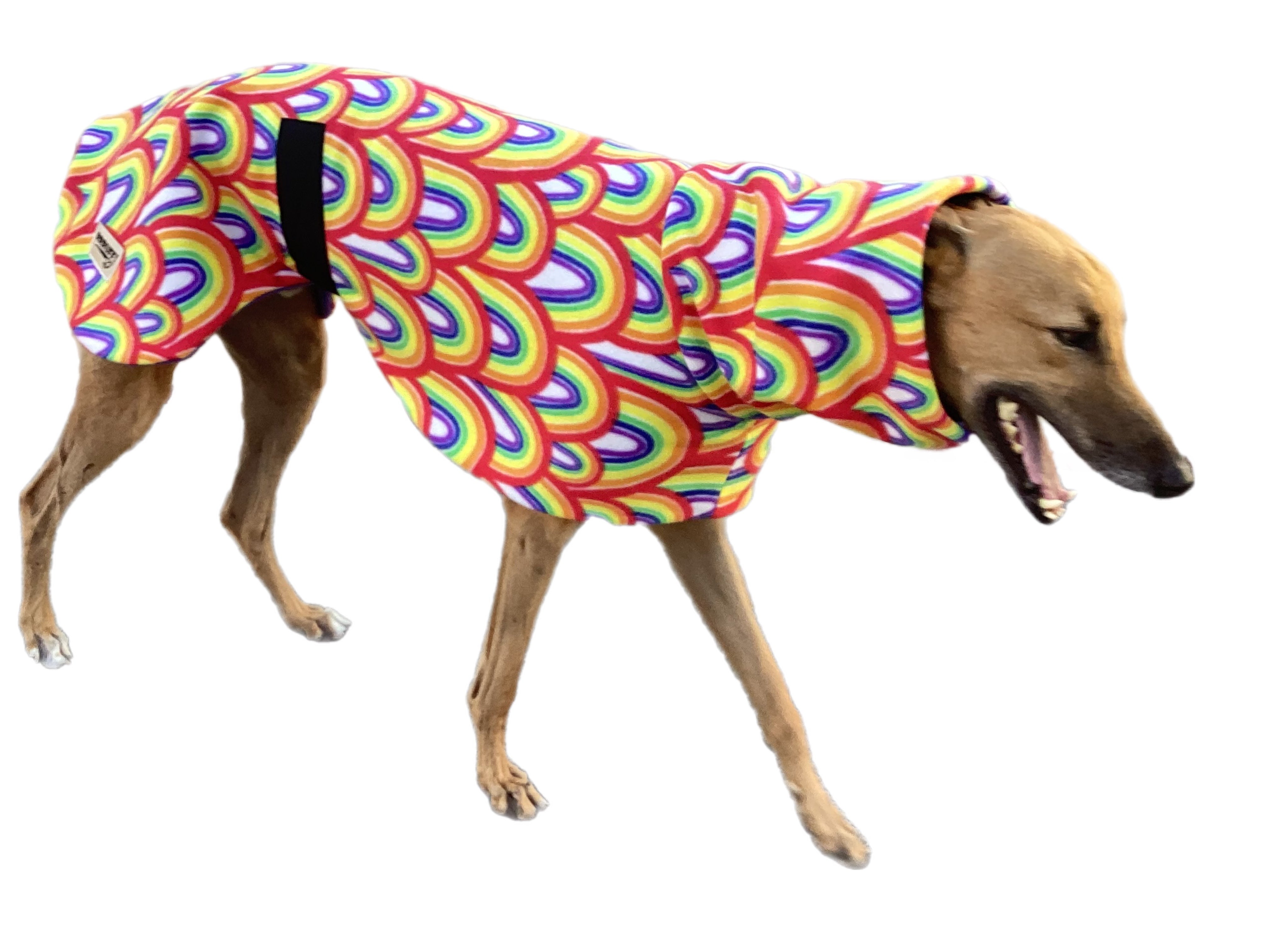 Rainbow deluxe greyhound coat rug snuggly polar fleece washable extra ...