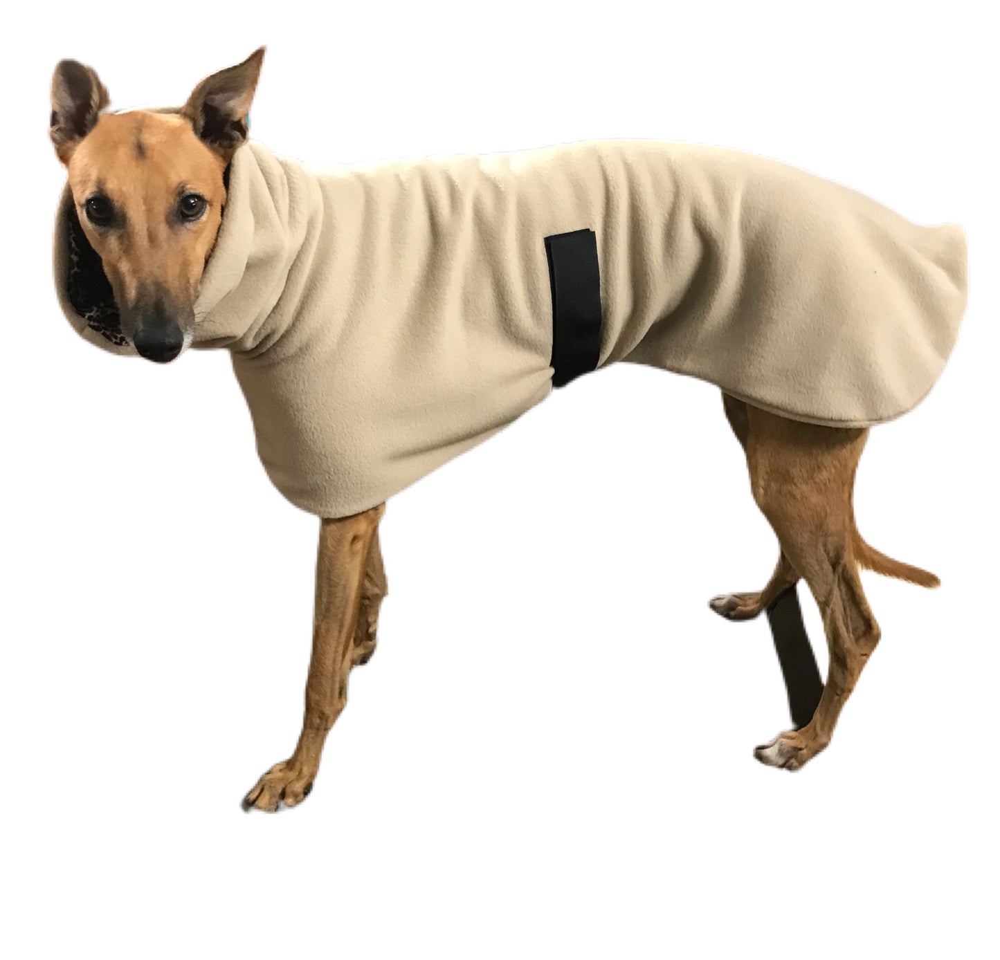 Simply beige Greyhound Deluxe coat rug thick polar fleece washable extra wide neck hoodie