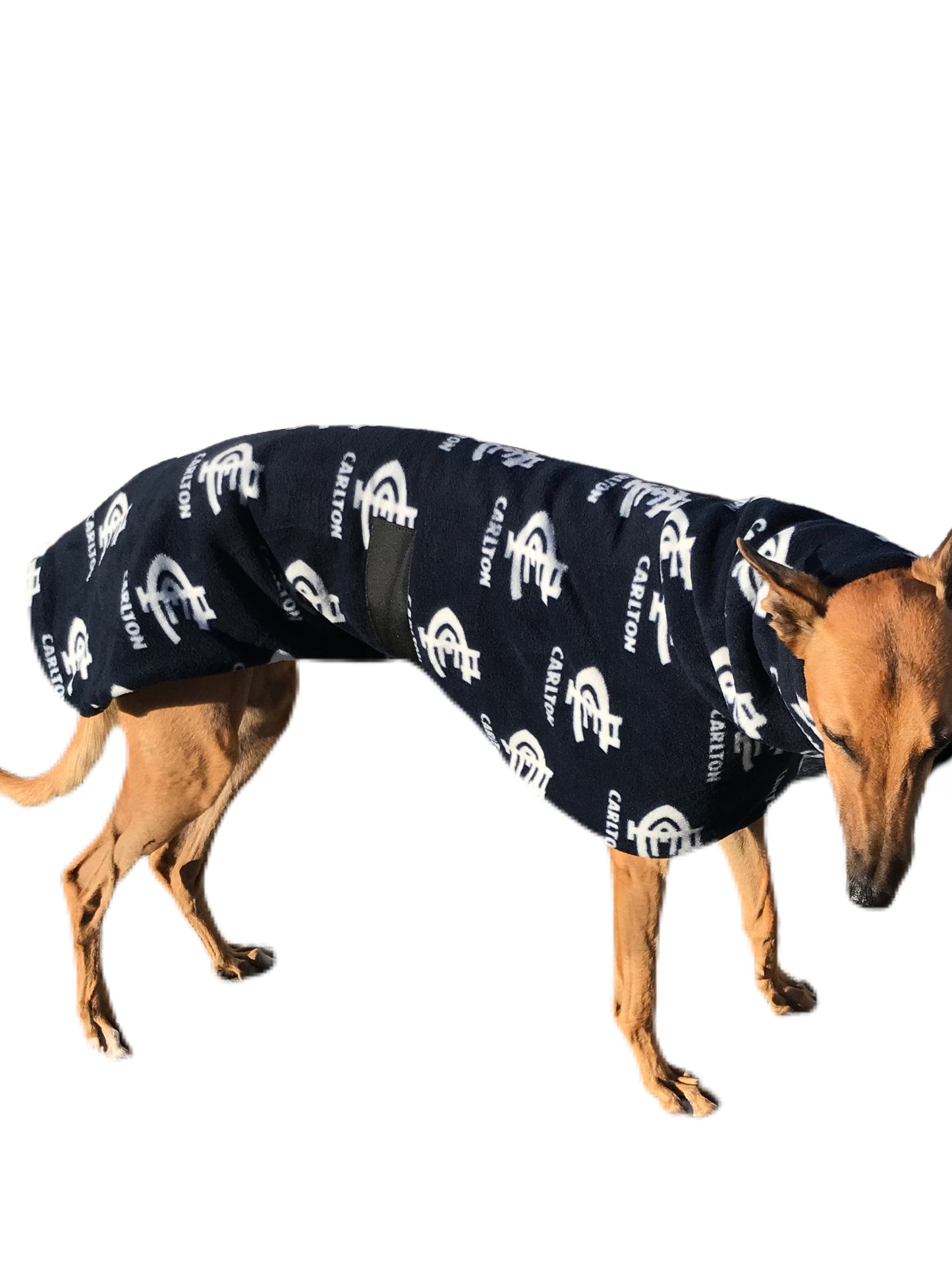 AFL Carlton inspired greyhound coat deluxe style double polar fleece washable