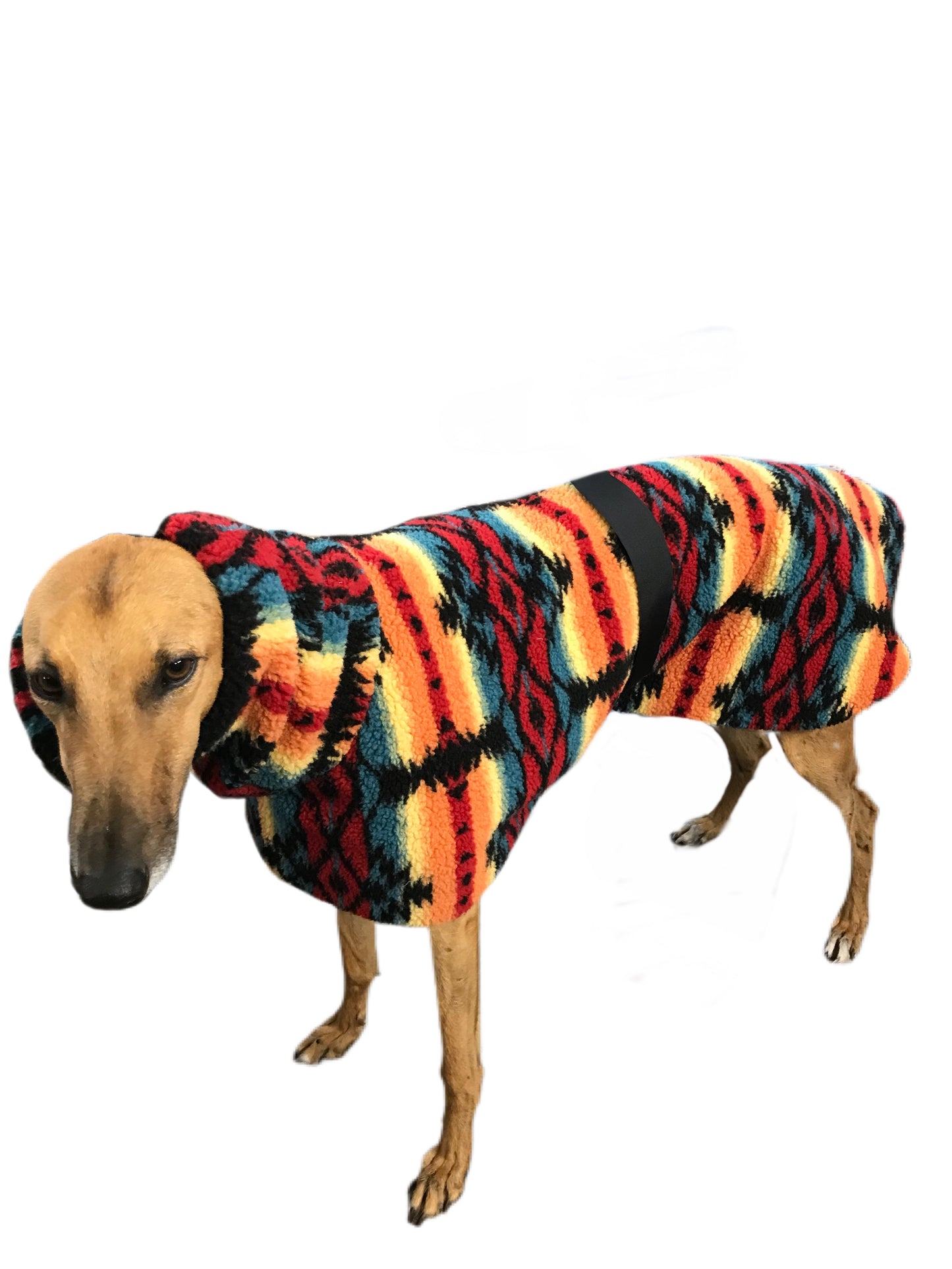 Extra thick Desert Sherpa deluxe style greyhound coat with snuggly wide neck roll