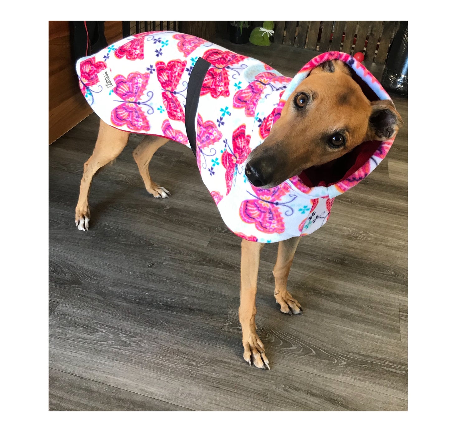 Butterfly prints greyhound Deluxe style coat rug super soft & snuggly polar fleece extra wide neck hoodie end of line