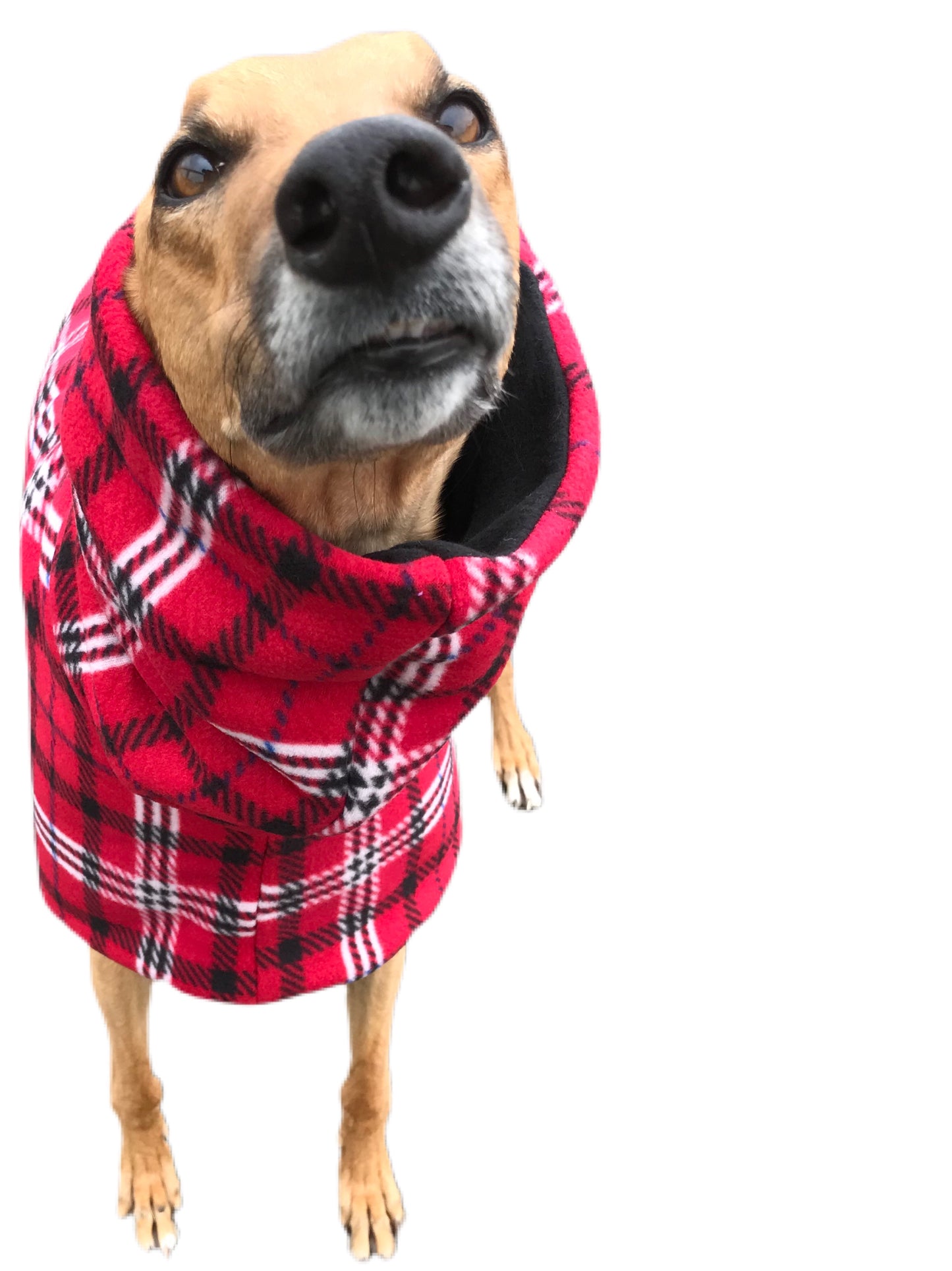 Scotch red flanno print deluxe style greyhound coat Sherpa lined double polar fleece washable